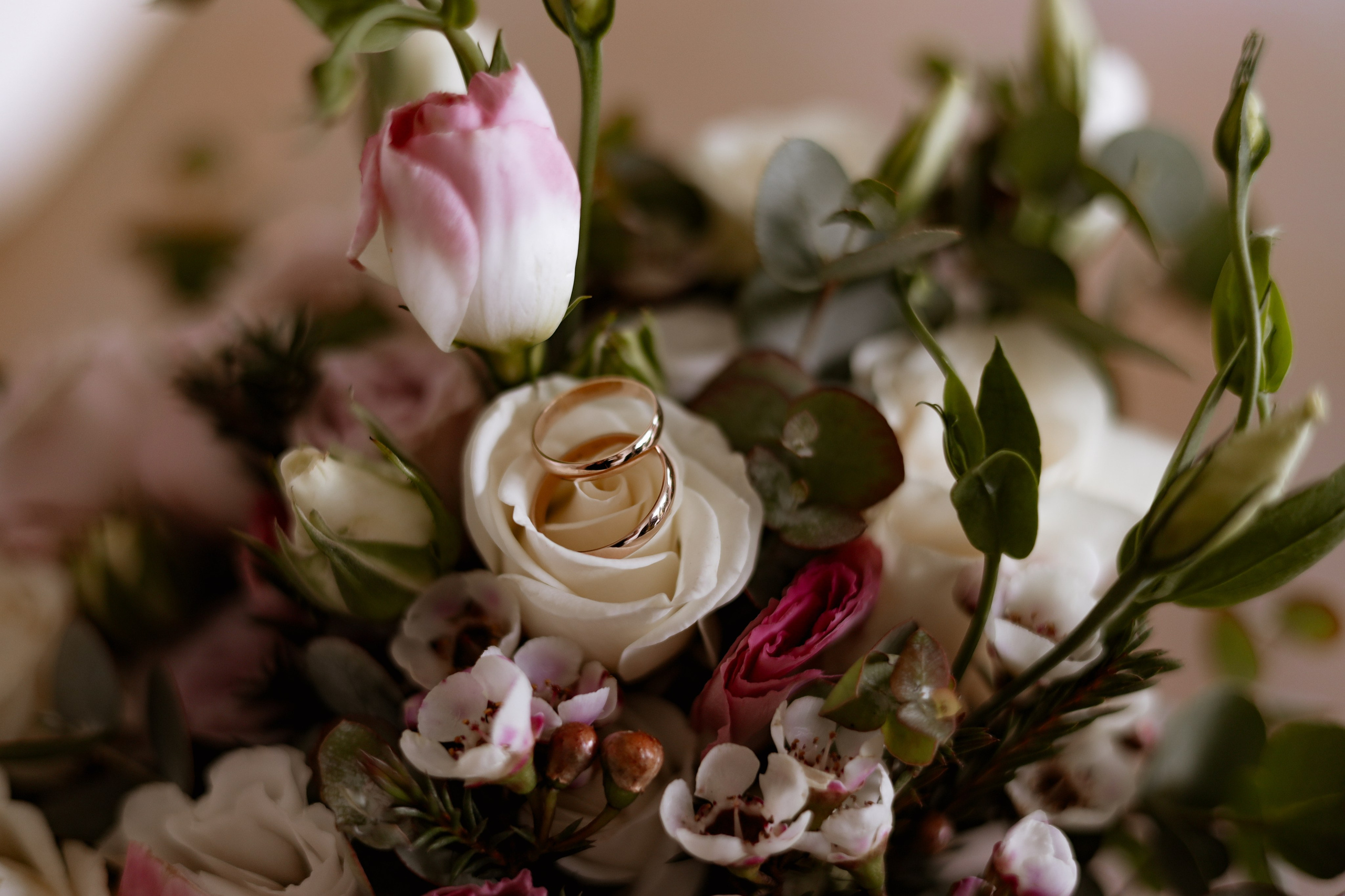 O&A. Photographer Tatiana Ivanova in Yaroslavl