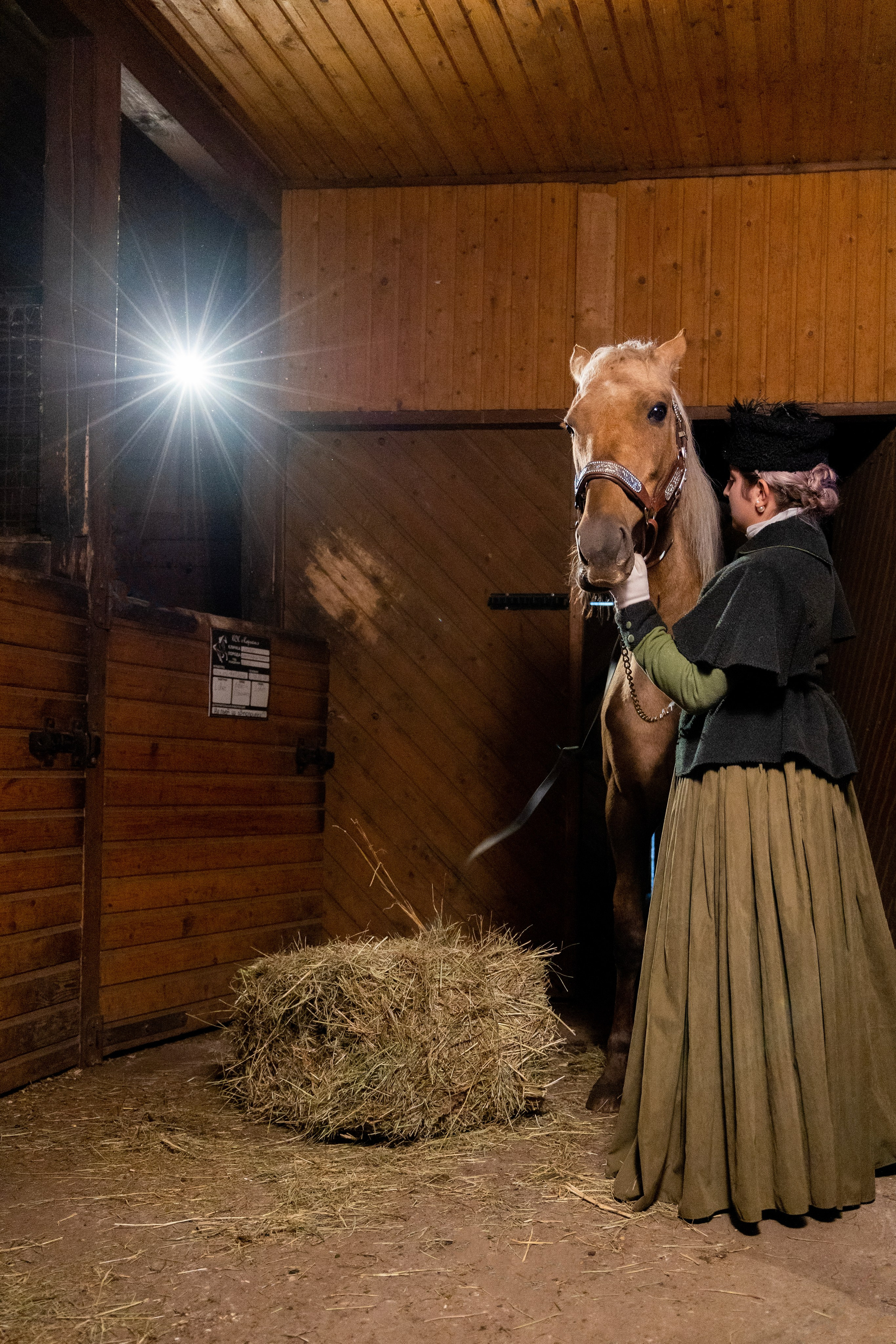 Фотограф Татьяна Марсуверских г. Жуковский, Москва и Мо. Репортажные съёмки, фотосессии с лошадьми,  фотограф анималист, фотосъёмка животных. Фотограф для маркетплейсов, фотоуслуги в Жуковском Татьяна Марсуверских