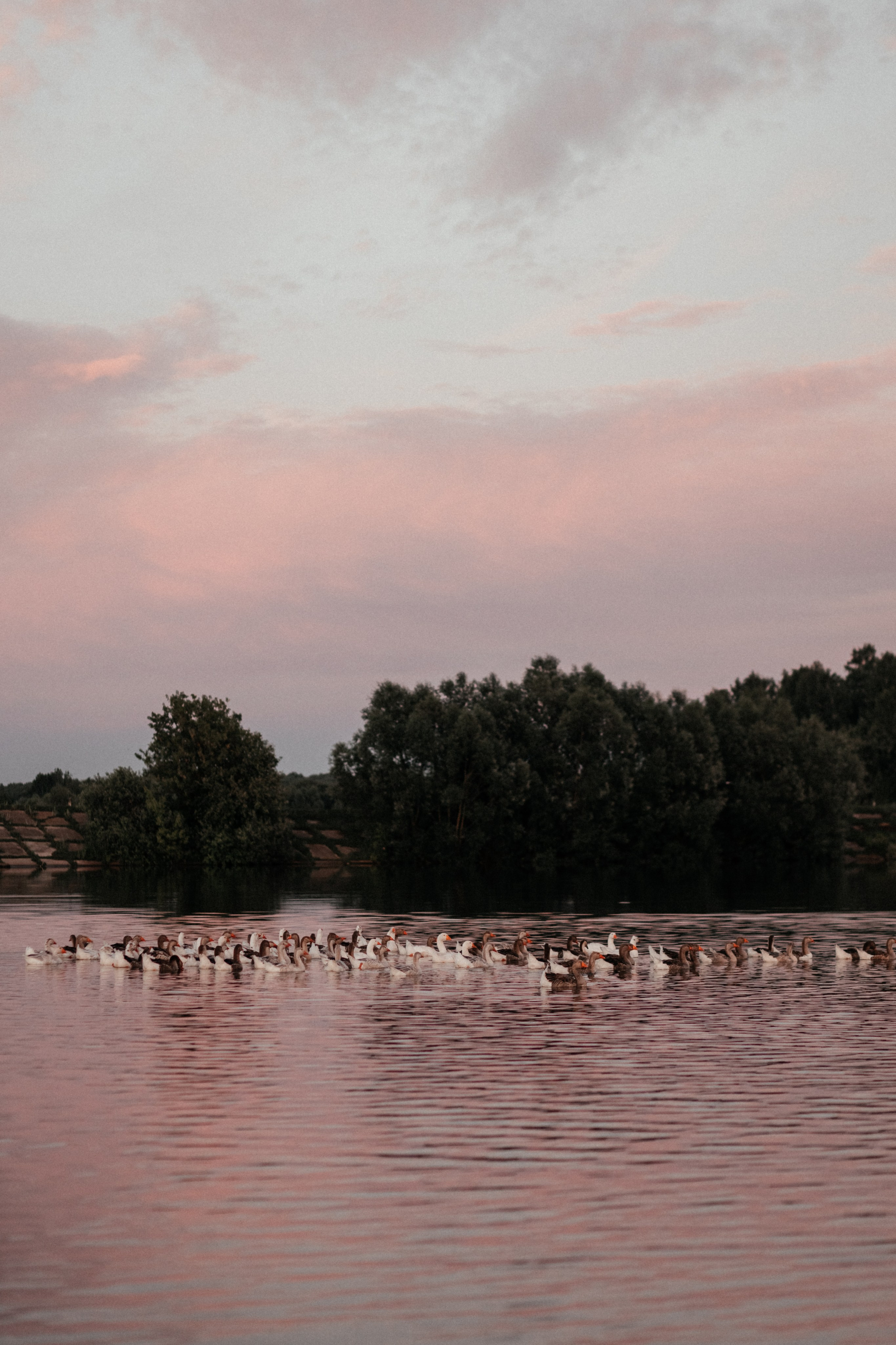 Оля и Дима. Валентина Удалая — семейный и портретный фотограф в Брянске
