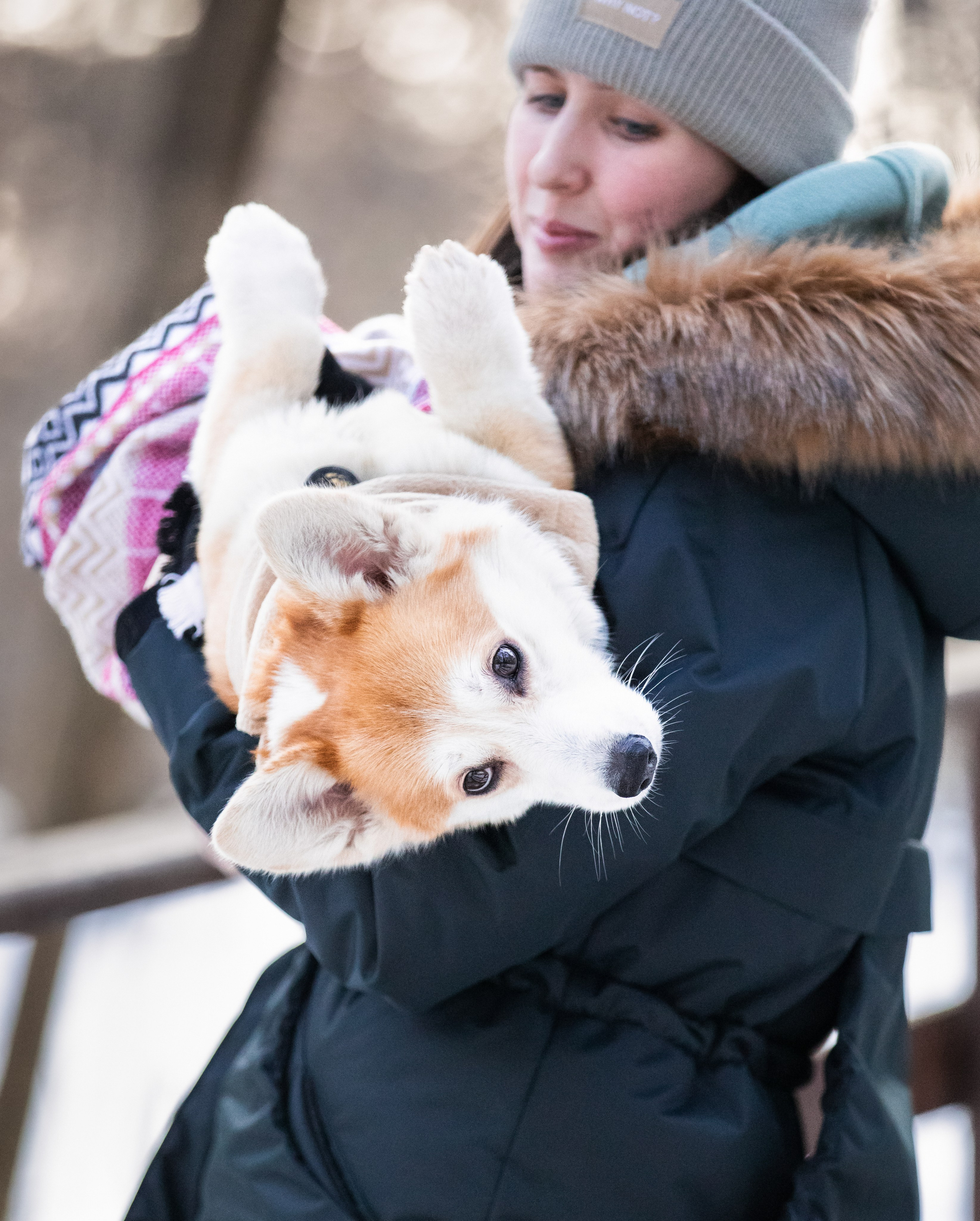 Даша и Дживс. Фотограф-анималист Смирнова Клеопатра|Москва