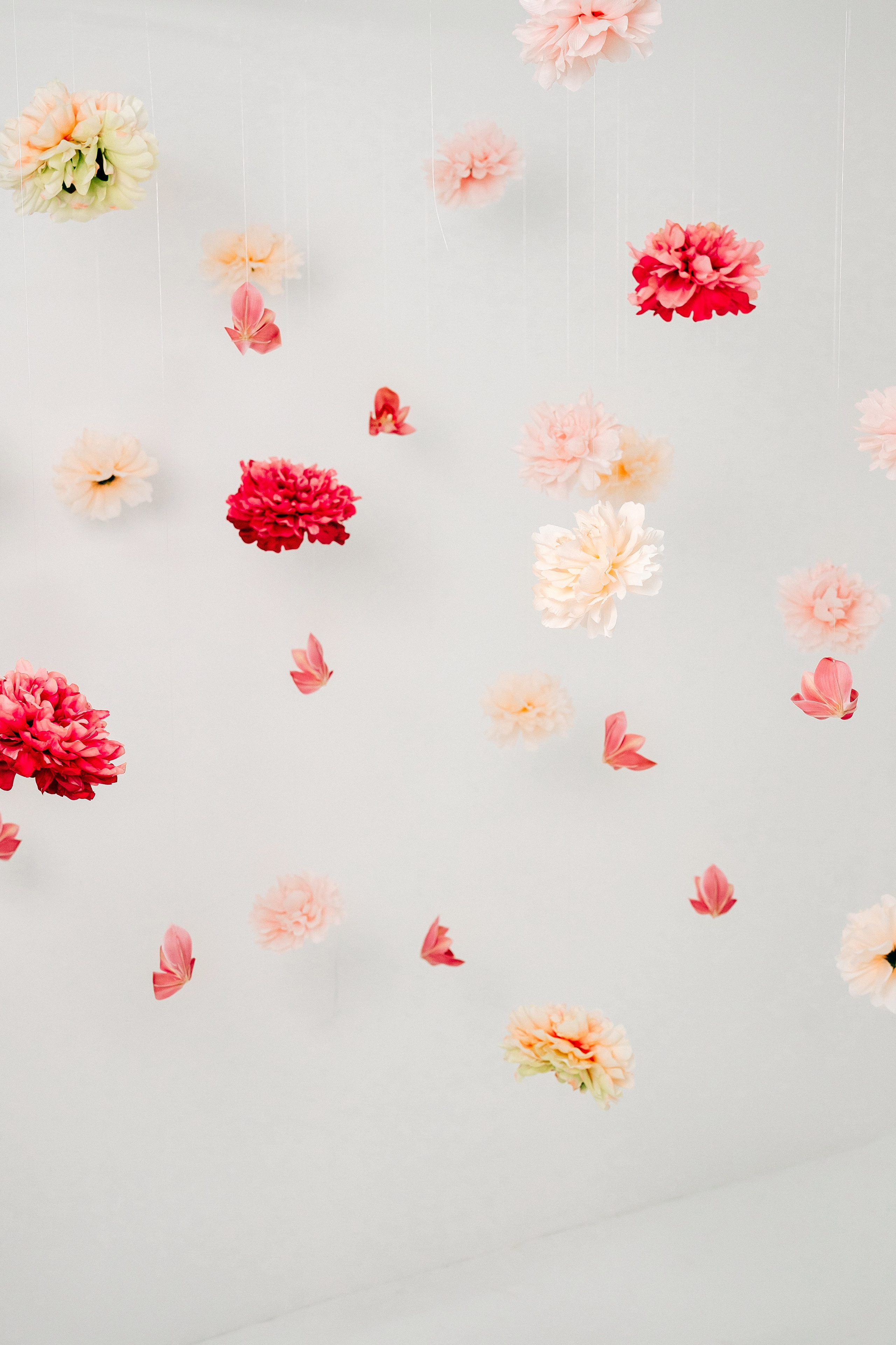 Обзор студии. «Лама» Детская фотостудия Уфа