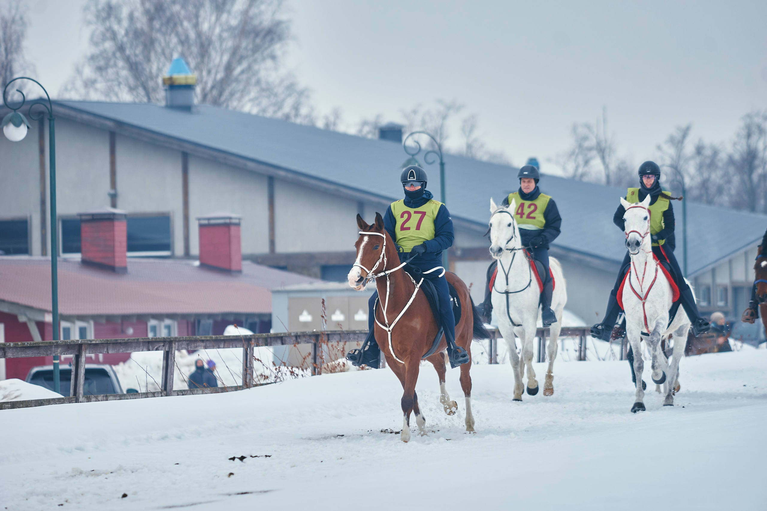 HORSE RACING. Фотограф Наталья Леонова