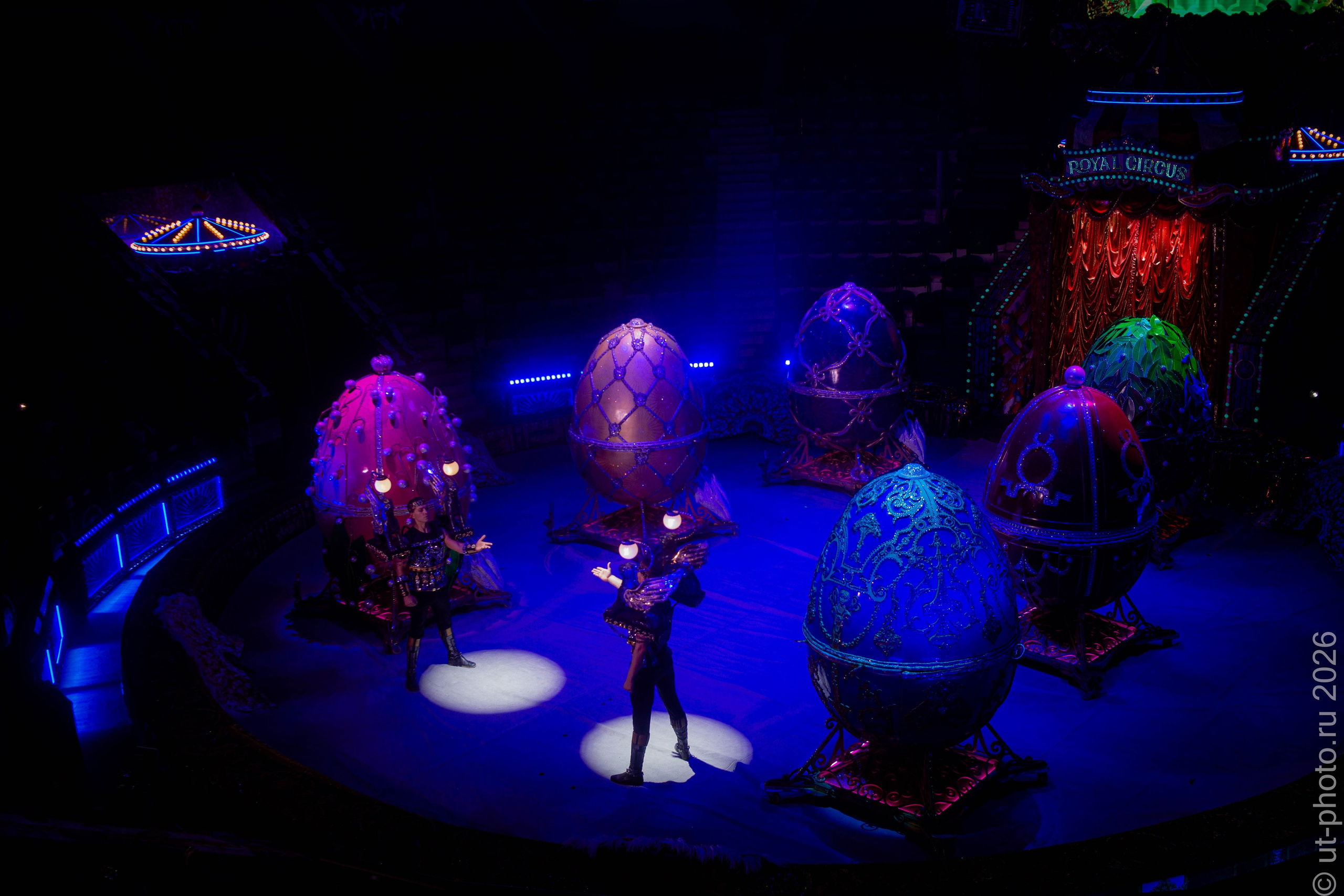 Сегодня все разговоры, что о цирке Продюсерский центр «Королевский цирк Гии Эрадзе» 2026. Юлия Трубанова, репортаж Симферополь, Крым