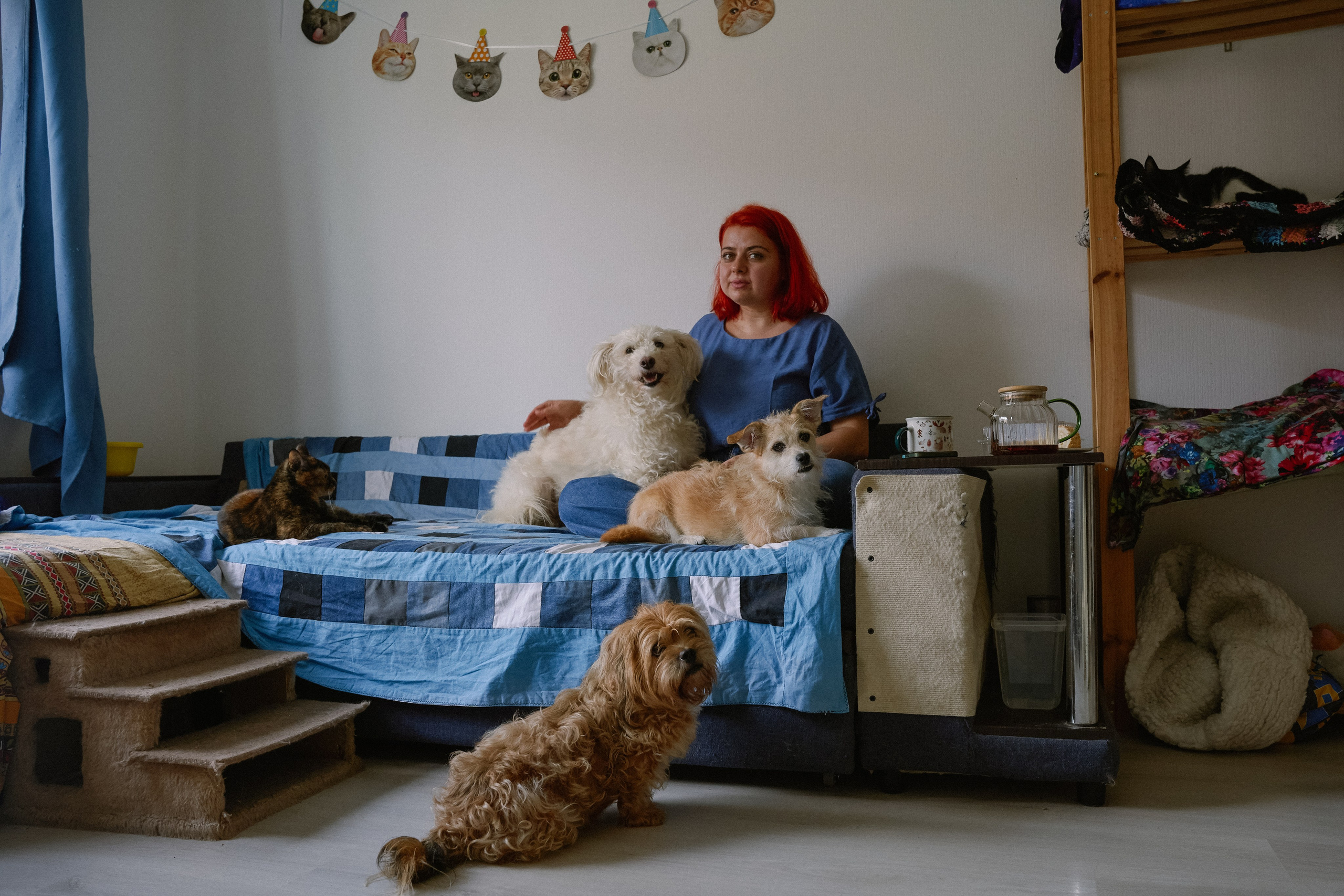 Вика, Мира, Стеша и Руди. Санкт-Петербург, 2024. Мира жила в государственном приюте в Якутии, откуда ее спасли волонтеры, после того как местные власти приняли закон об эвтаназии бездомных собак. Вика взяла Миру на передержку, чтобы помочь ей социализироваться и в дальнейшем найти хозяина. Первые восемь месяцев она вовсе не выходила на улицу — страх буквально парализовывал её: Мира ложилась на землю и замирала. За последние полгода Мира успешно справилась с рядом фобий, и Вика всё больше склоняется к тому, чтобы оставить её себе. Они очень привязаны друг к другу, а потеря хозяина может вызвать у Миры стресс, который способен свести на нет все их достижения. (На фото Мира слева от Вики, справа личная собака Вики Стеша, на полу сидит Руди - собака родной сестры Вики)