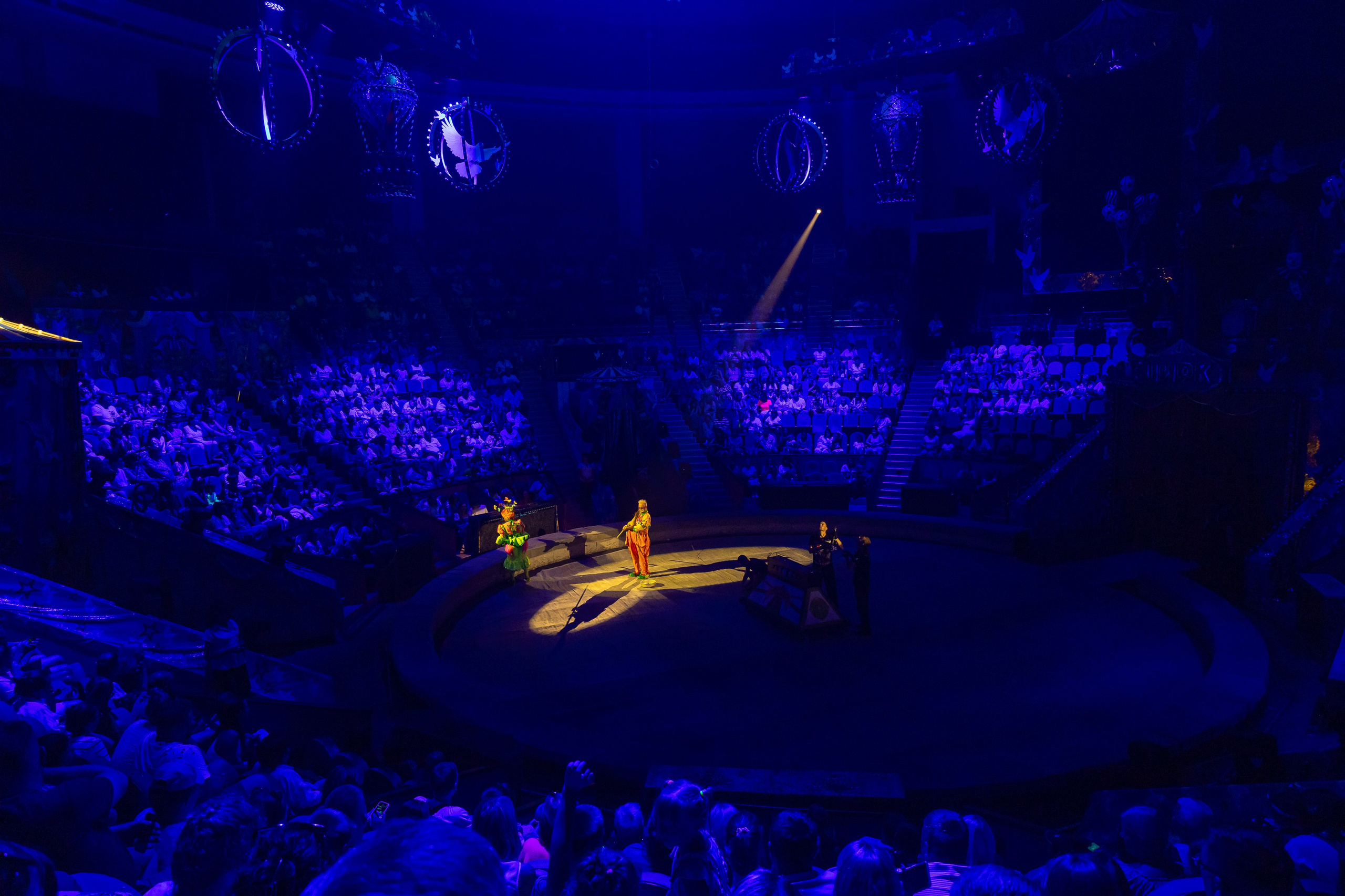 Цирк ГИИ ЭРАДЗЕ. Семейный и Свадебный фотограф в Сочи