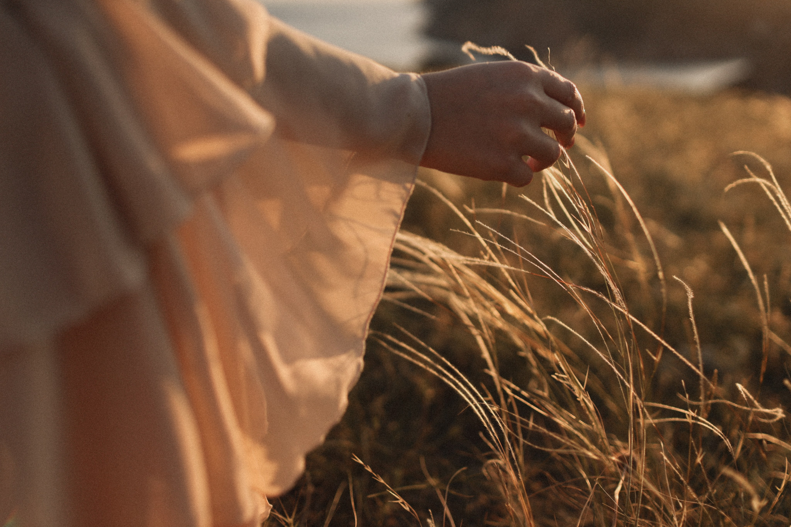 Луч солнца золотого. Фотограф Воронцова Виталия Крым Севастополь