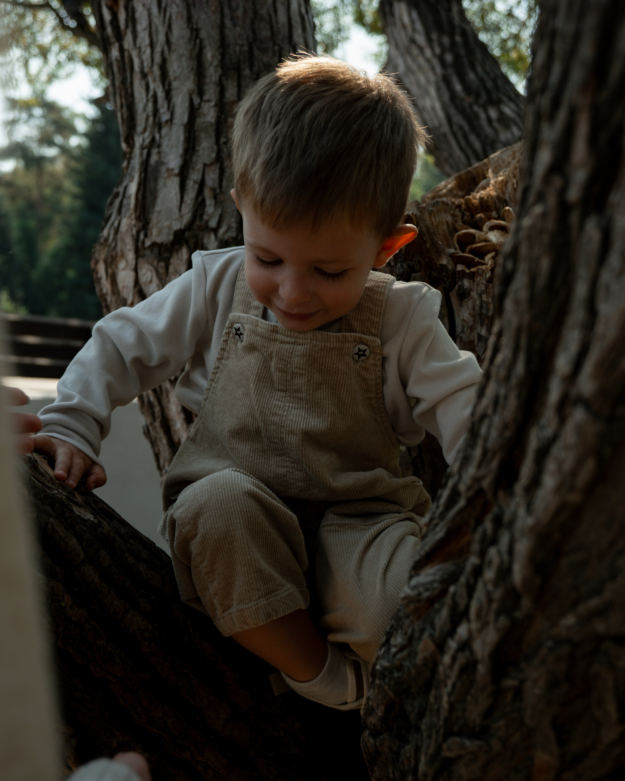 Семейные. Анна Дериглазова | Коммерческий фотограф в Москве