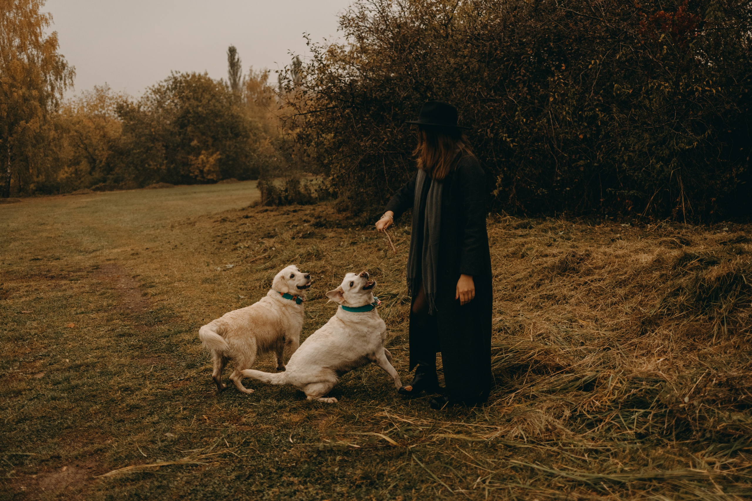 Женя и ее девочки. Фотограф — Анималист | Санкт-Петербург