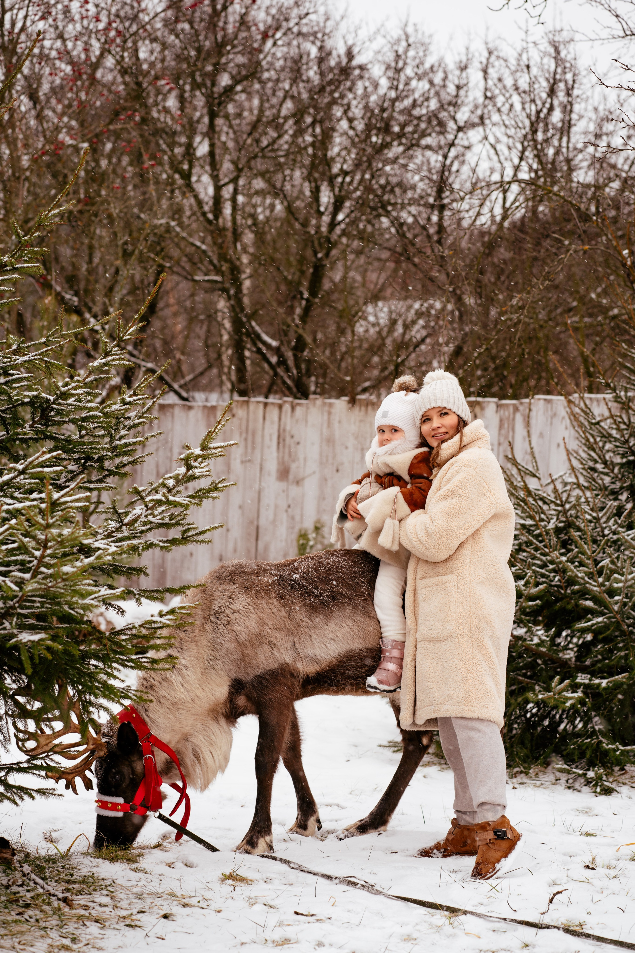 Фотодача «Калина» зима/новый год. Мои работы