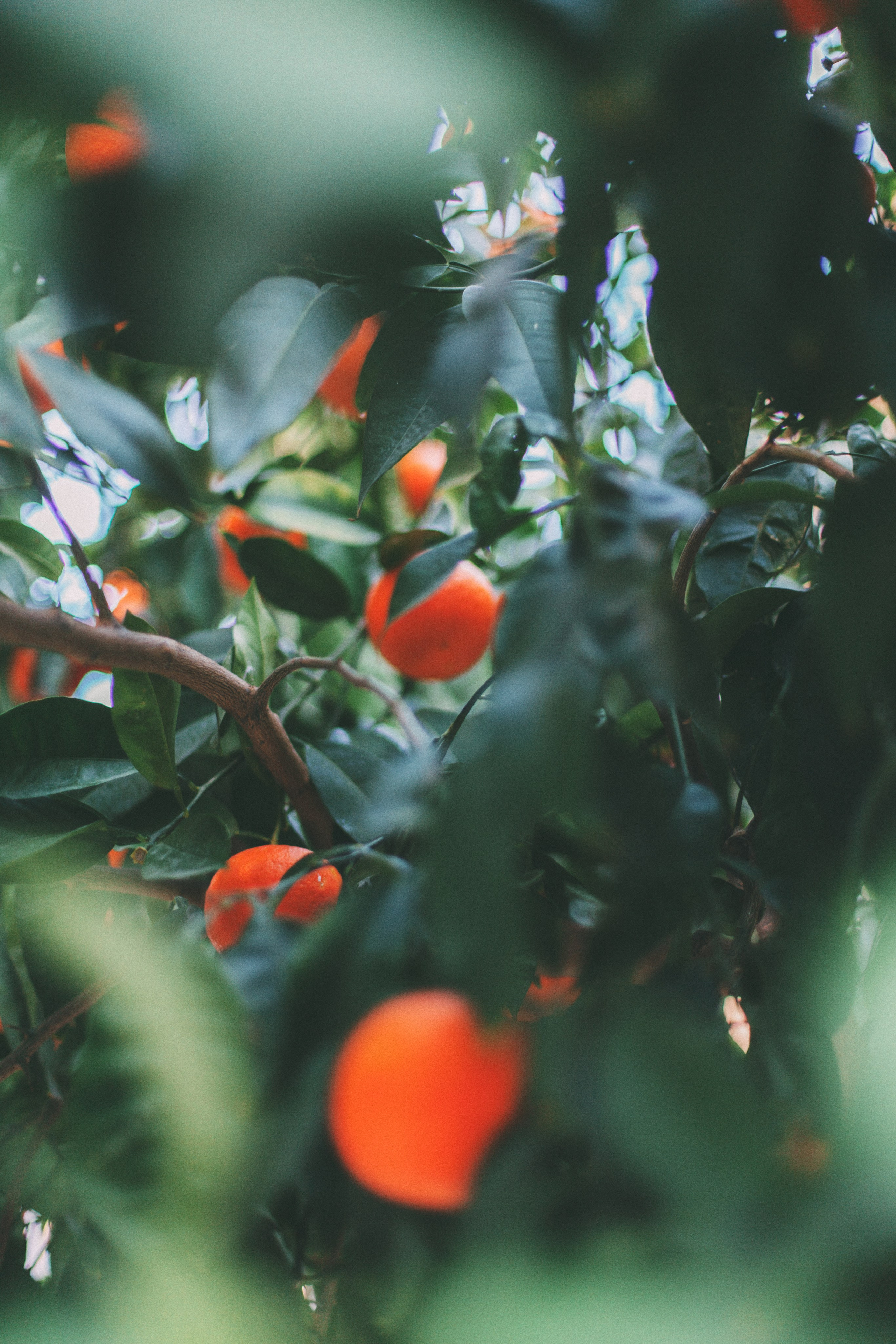 Афины. Аня Степанова