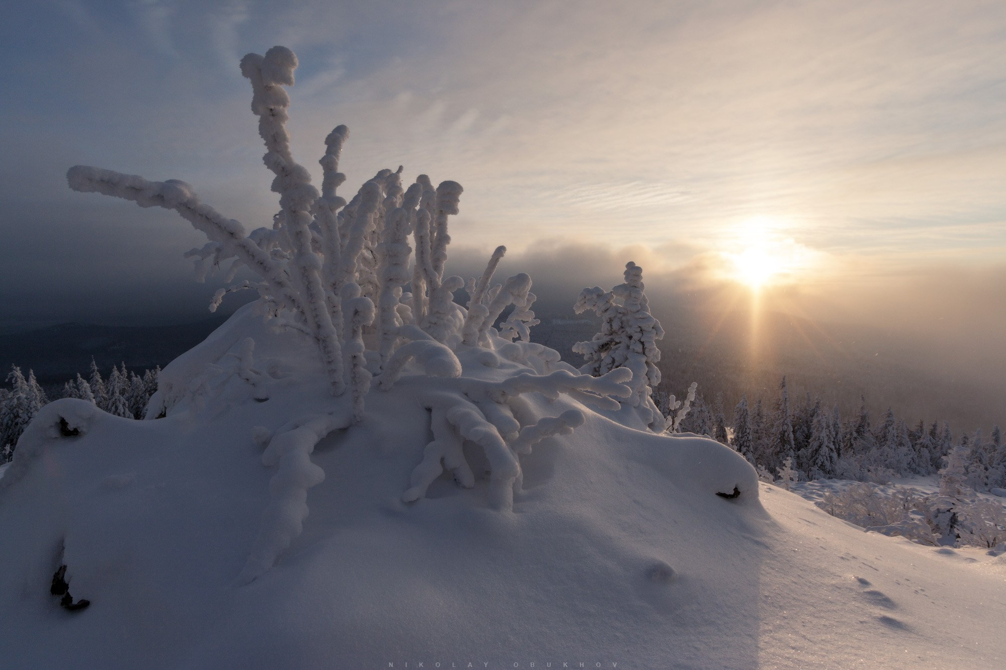 Утренний свет превращает зимний пейзаж Урала в сияющее море снега и инея.
