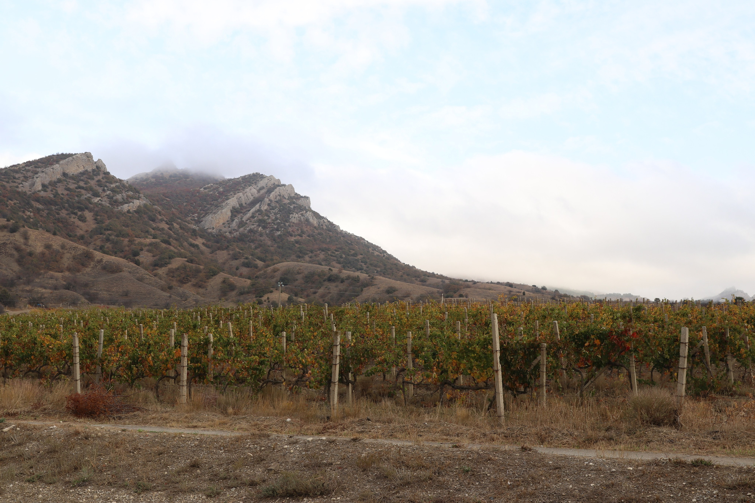 Крым. ЮБК (Гурзуф, Судак и их окрестности). Ноябрь 2023. Путешественник-фотограф из Санкт-Петербурга Татьяна Свистулина