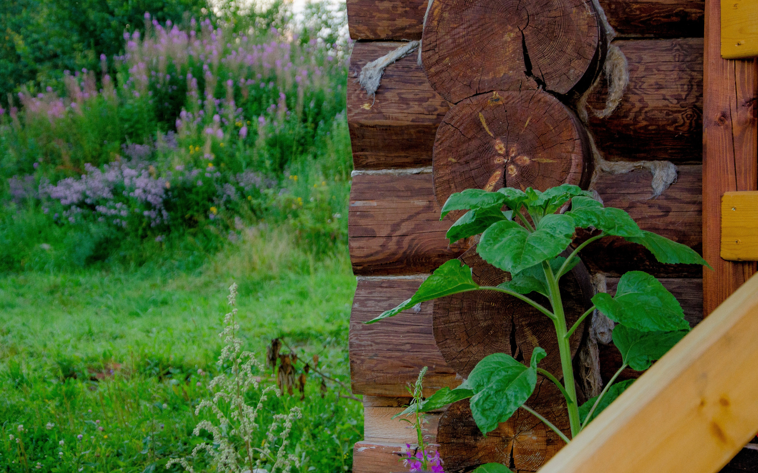 ФАКТУРКИ и ДЕТАЛЬКИ. Фотограф Татьяна Андриянова