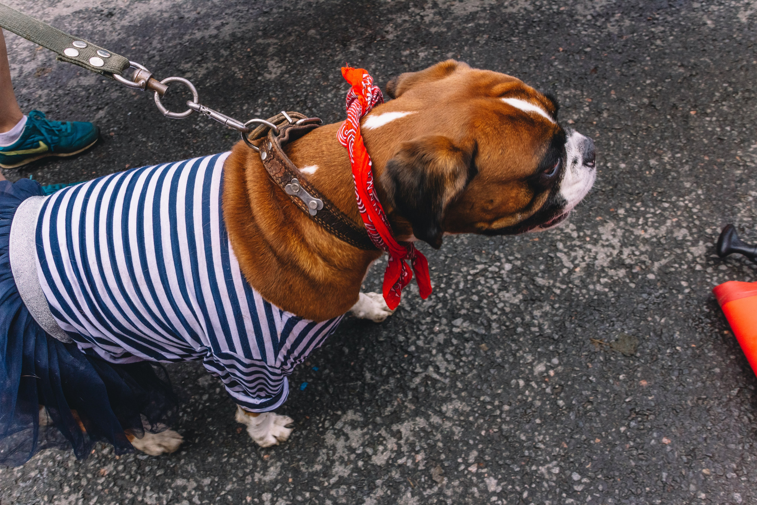 Фонтанка SUP 2 августа 2025 года. Семейный, Детский, Репортажный фотограф в Санкт-Петербурге Погодина Лю