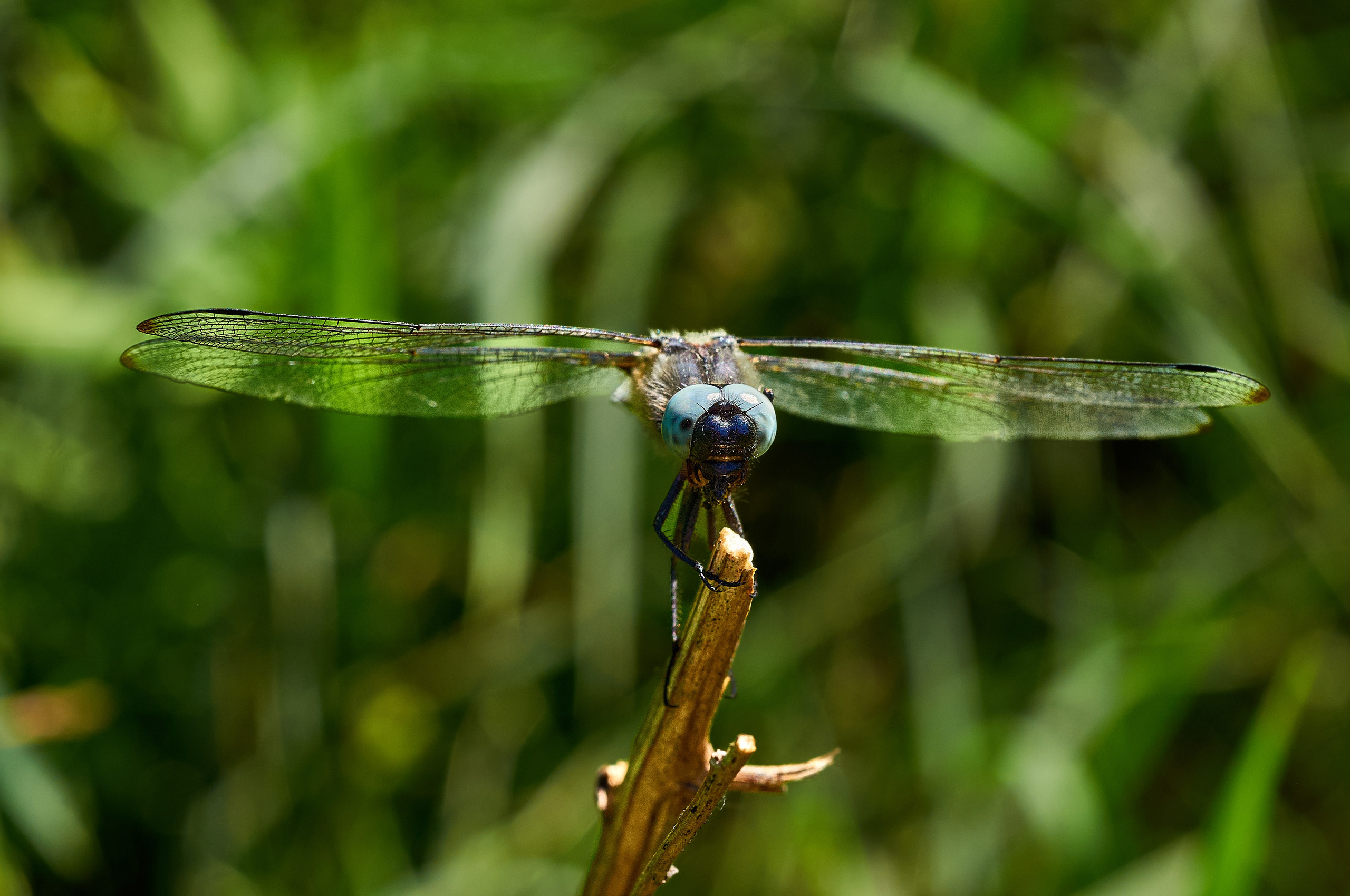Заповедные уголки Земли: обитатели дикой природы. Координаты красоты — география в фокусе