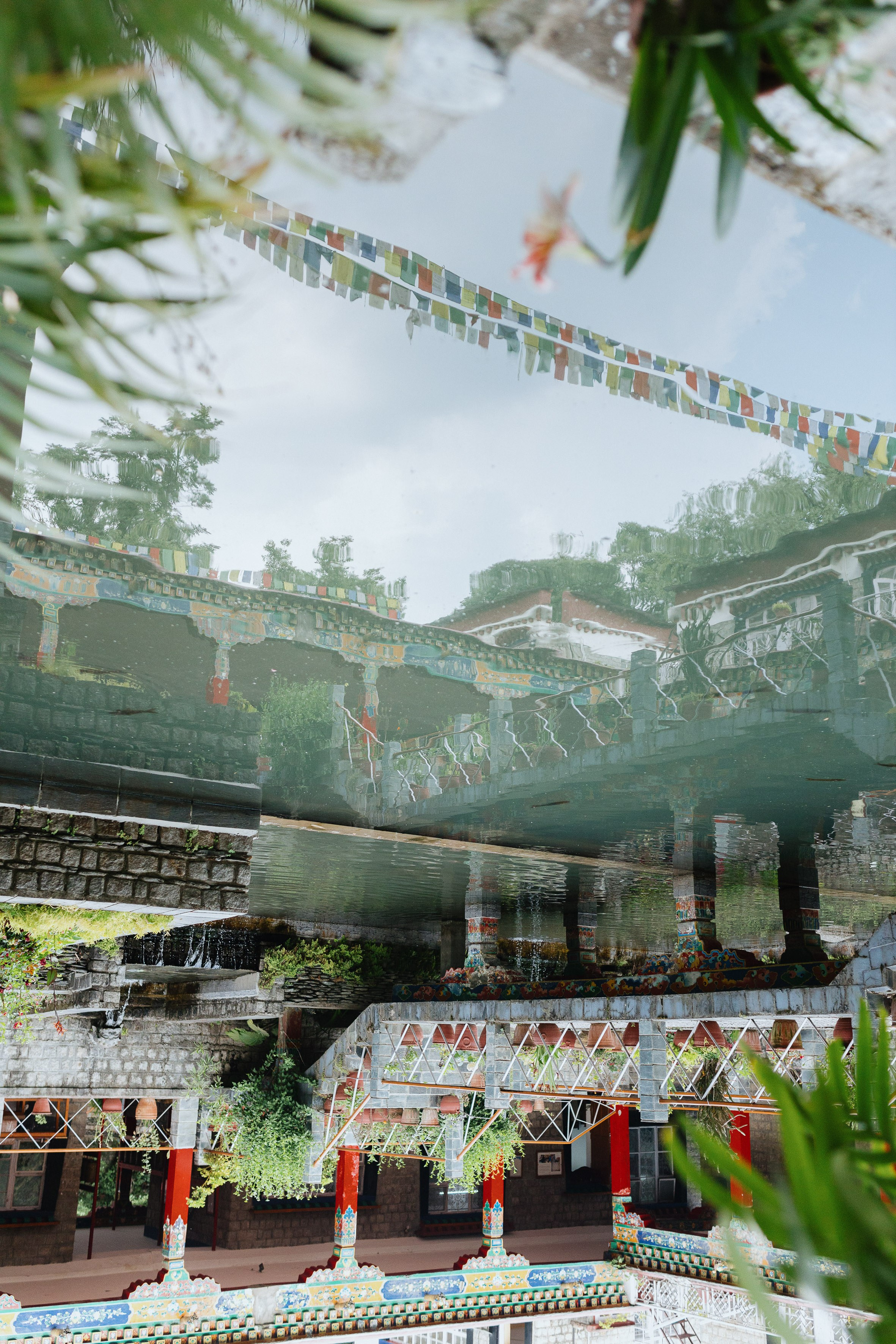 Экскурсия в резиденцию Далай Ламы с Косом и Лу. Фотограф Ольхон/ Индия, Регина