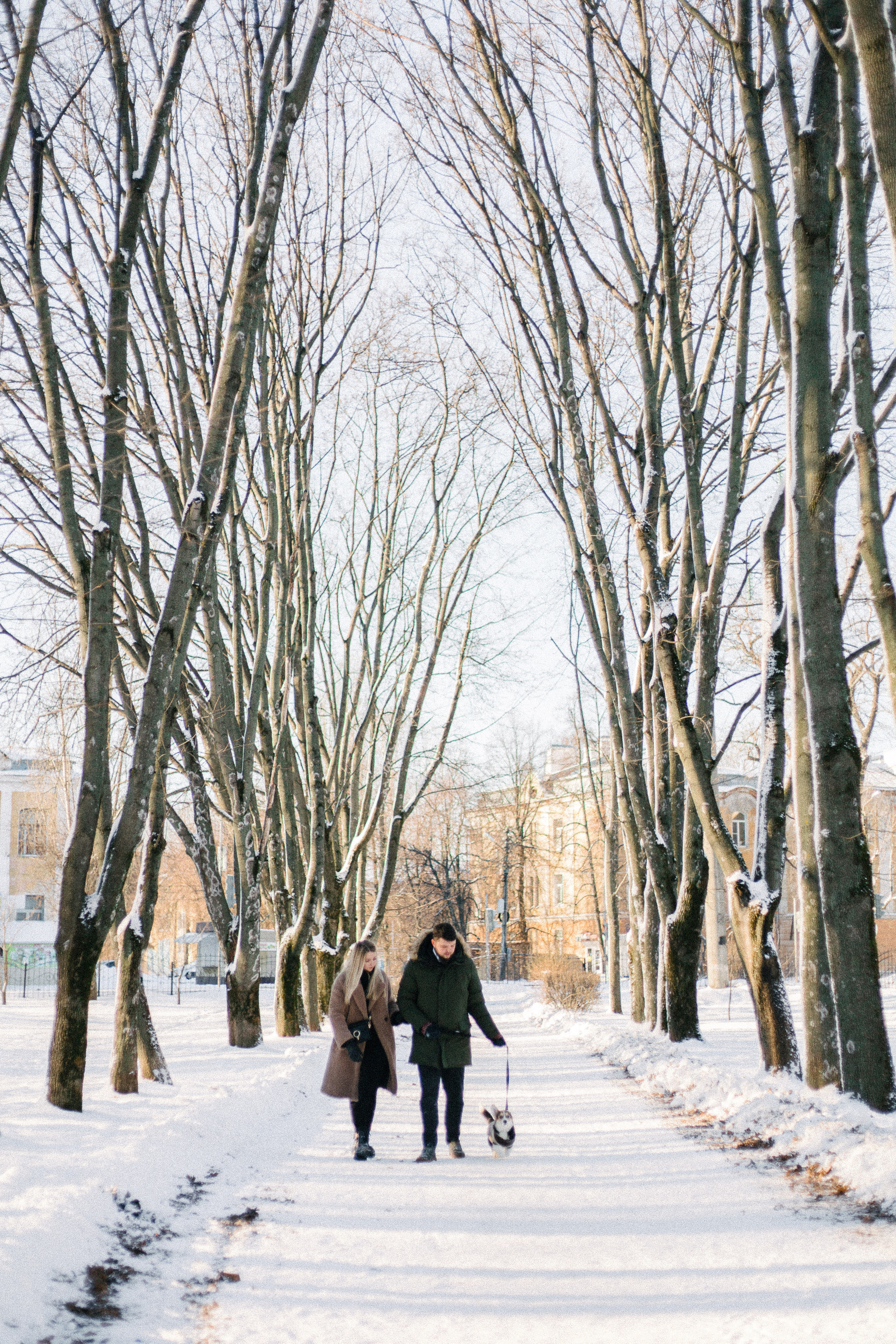 Валя, Игорь и Трюфель. Свадебный фотограф Москва Воронеж Ленкова Ксения