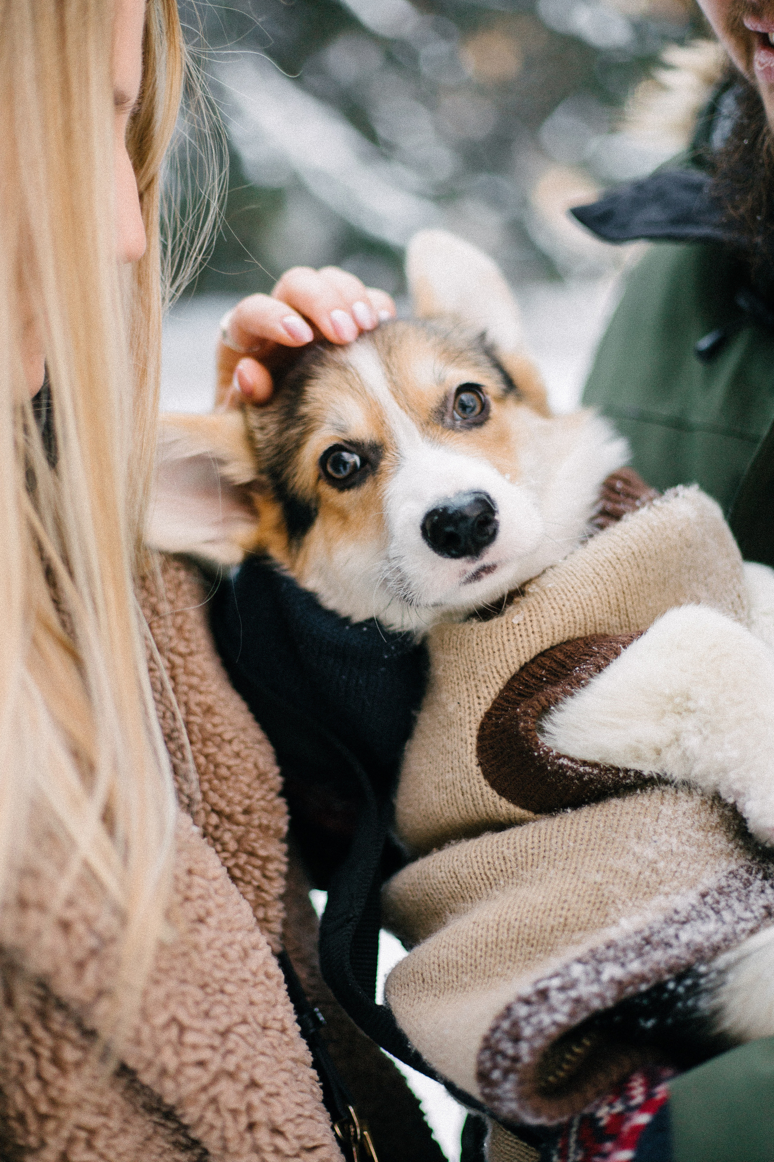 Валя, Игорь и Трюфель. Свадебный фотограф Москва Воронеж Ленкова Ксения