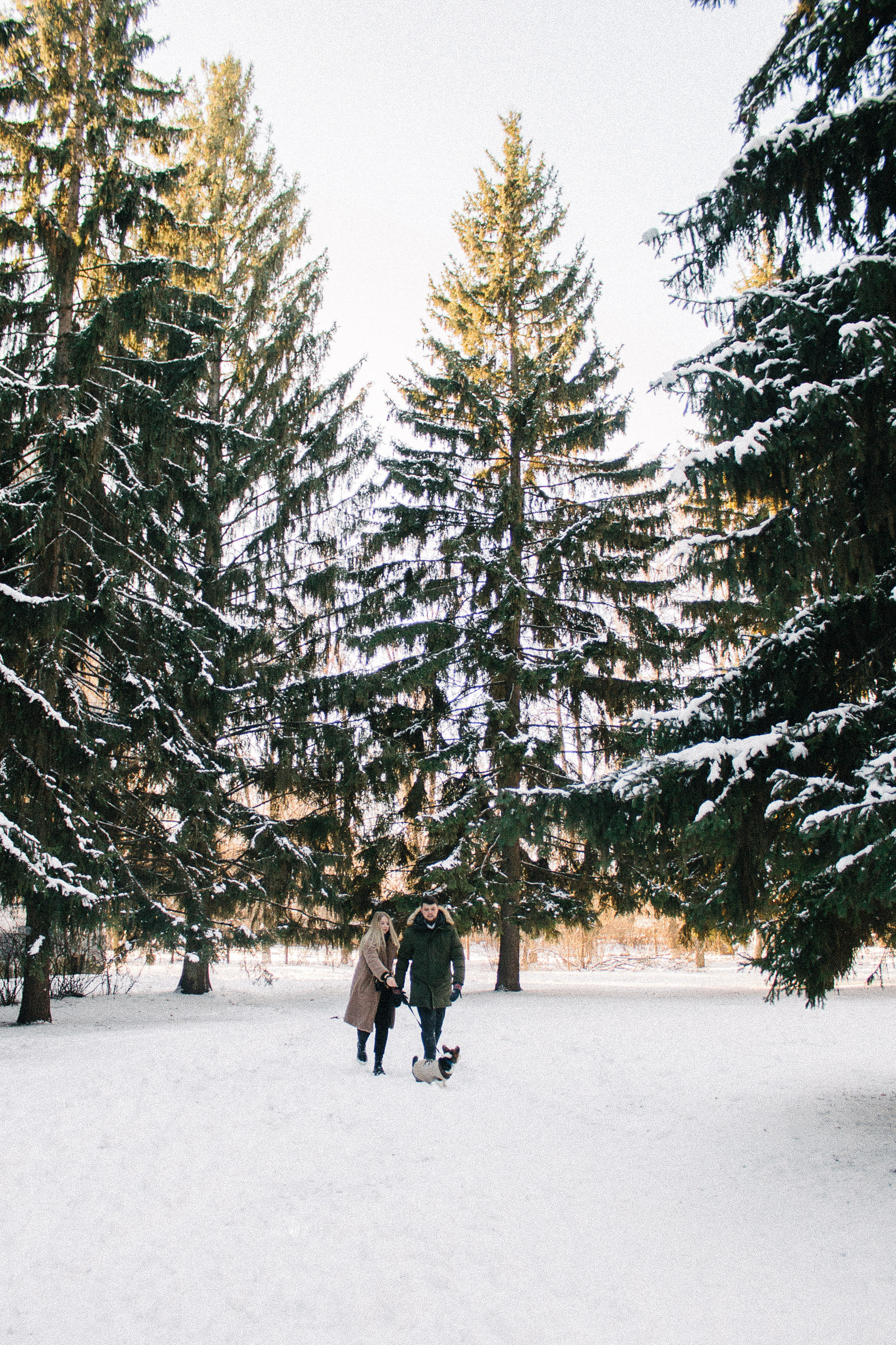 Валя, Игорь и Трюфель. Свадебный фотограф Москва Воронеж Ленкова Ксения