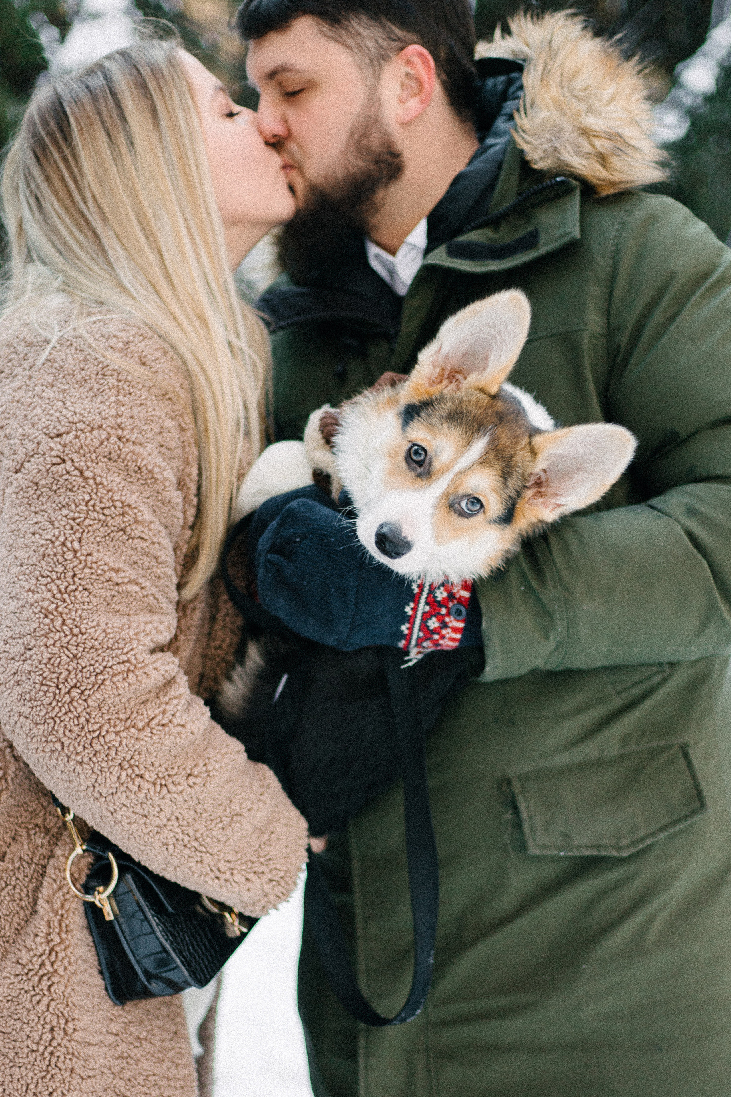 Валя, Игорь и Трюфель. Свадебный фотограф Москва Воронеж Ленкова Ксения