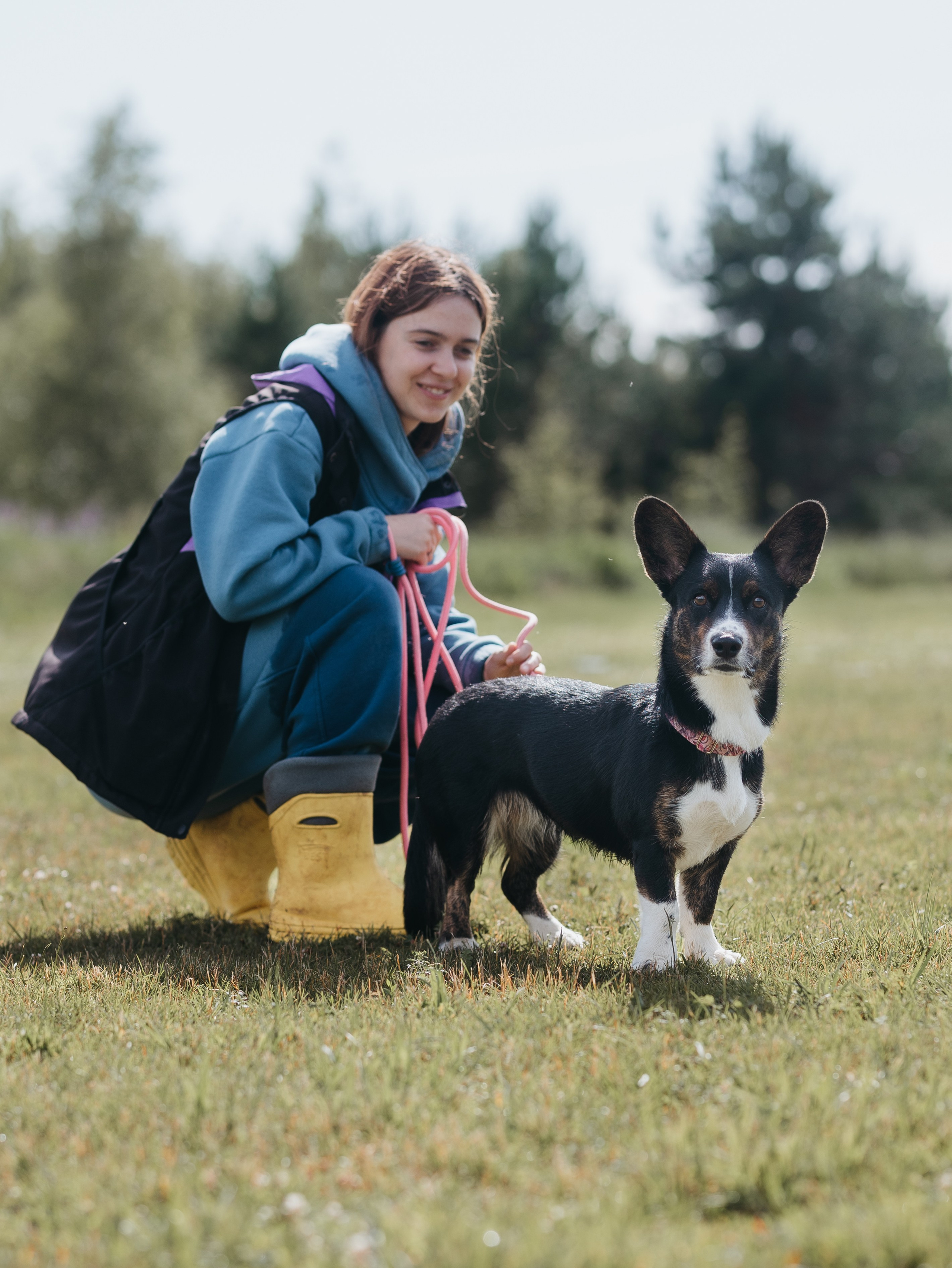 Лагерь ноузворк. Фотограф-анималист в Москве Кириллова Татьяна