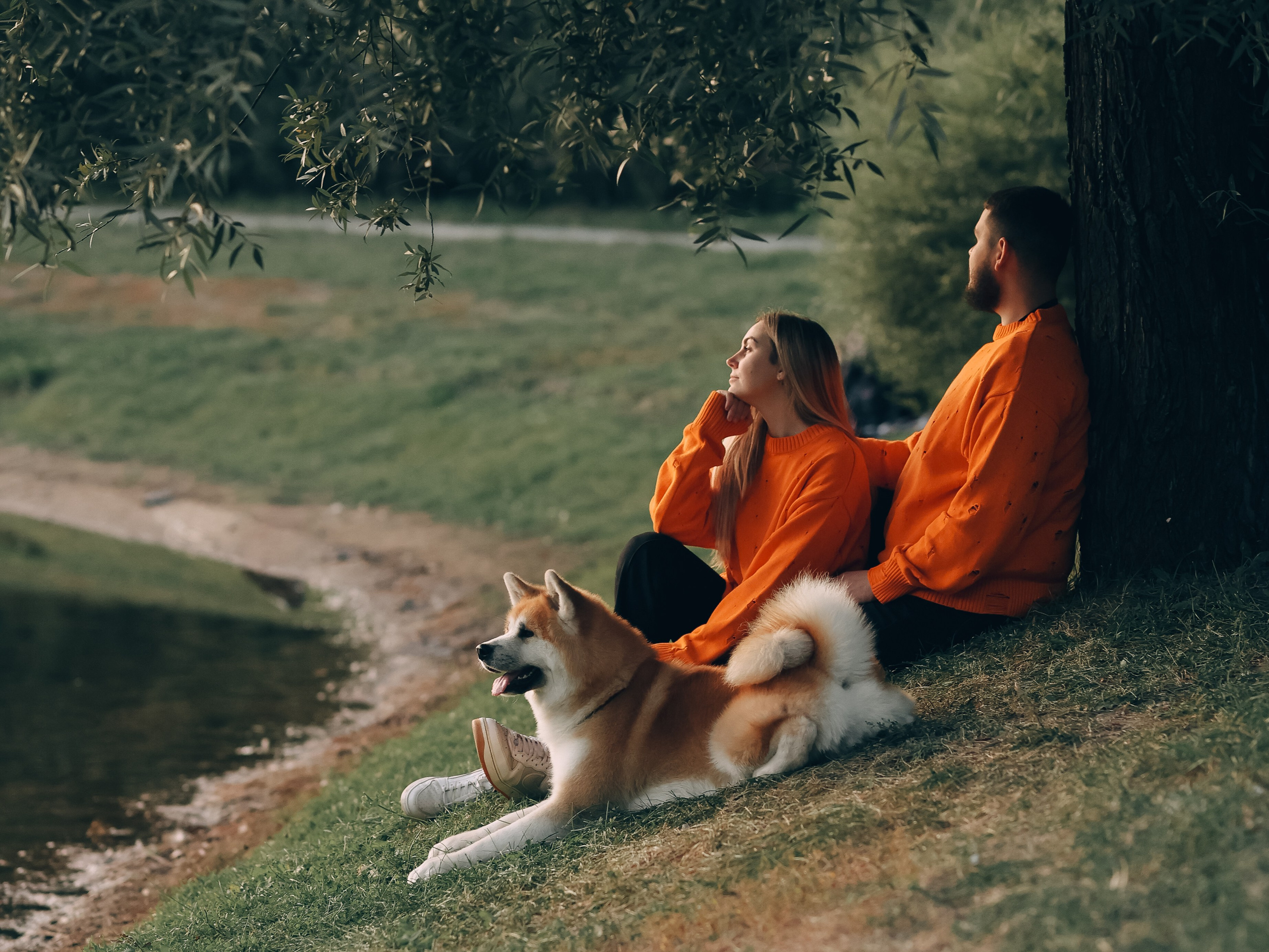 Гранд, Вика и Степан. Фотограф-анималист в Москве Кириллова Татьяна