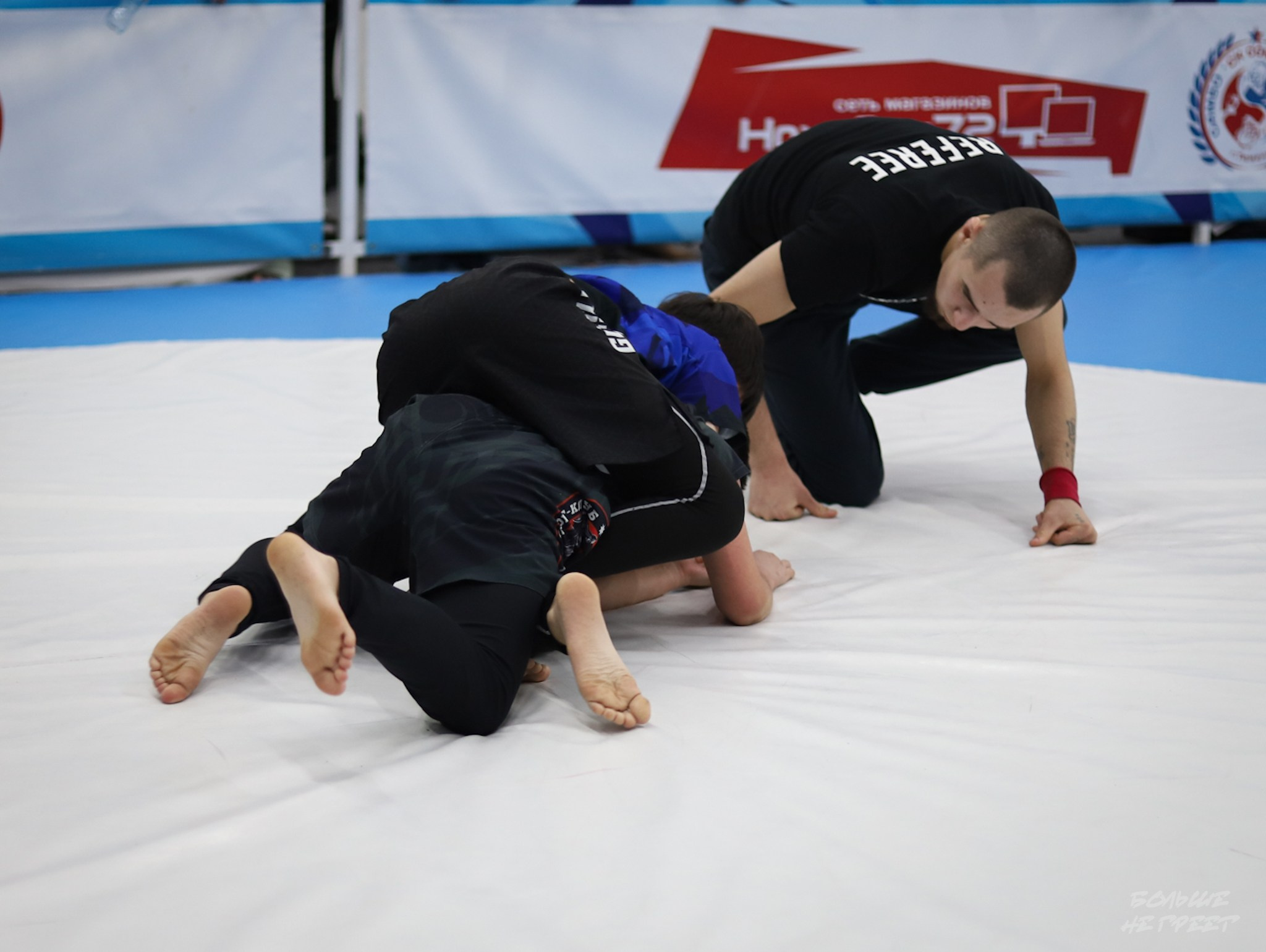 GORILLA PRIDE CUP. Больше не греет