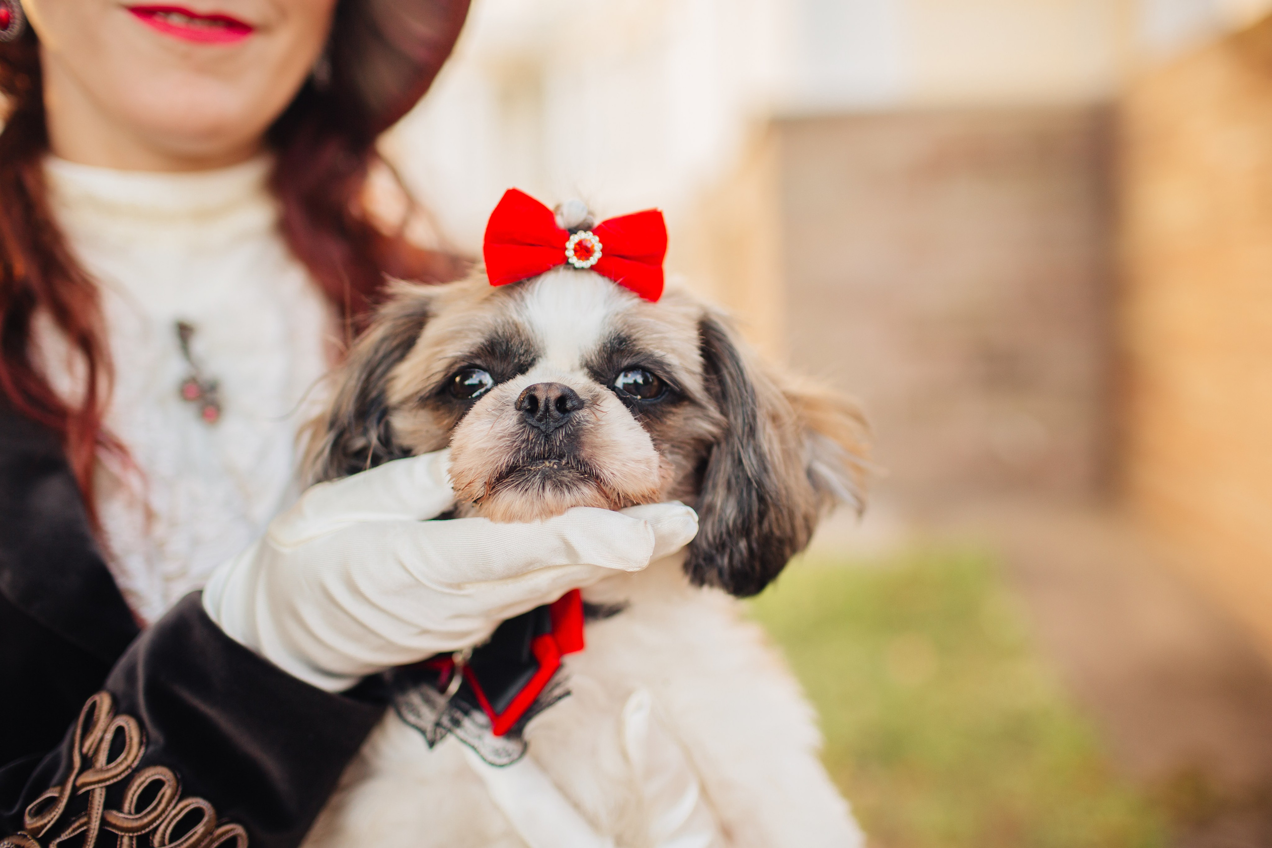 Помолвка Женя Люба. Свадебный фотограф в Санкт-Петербурге