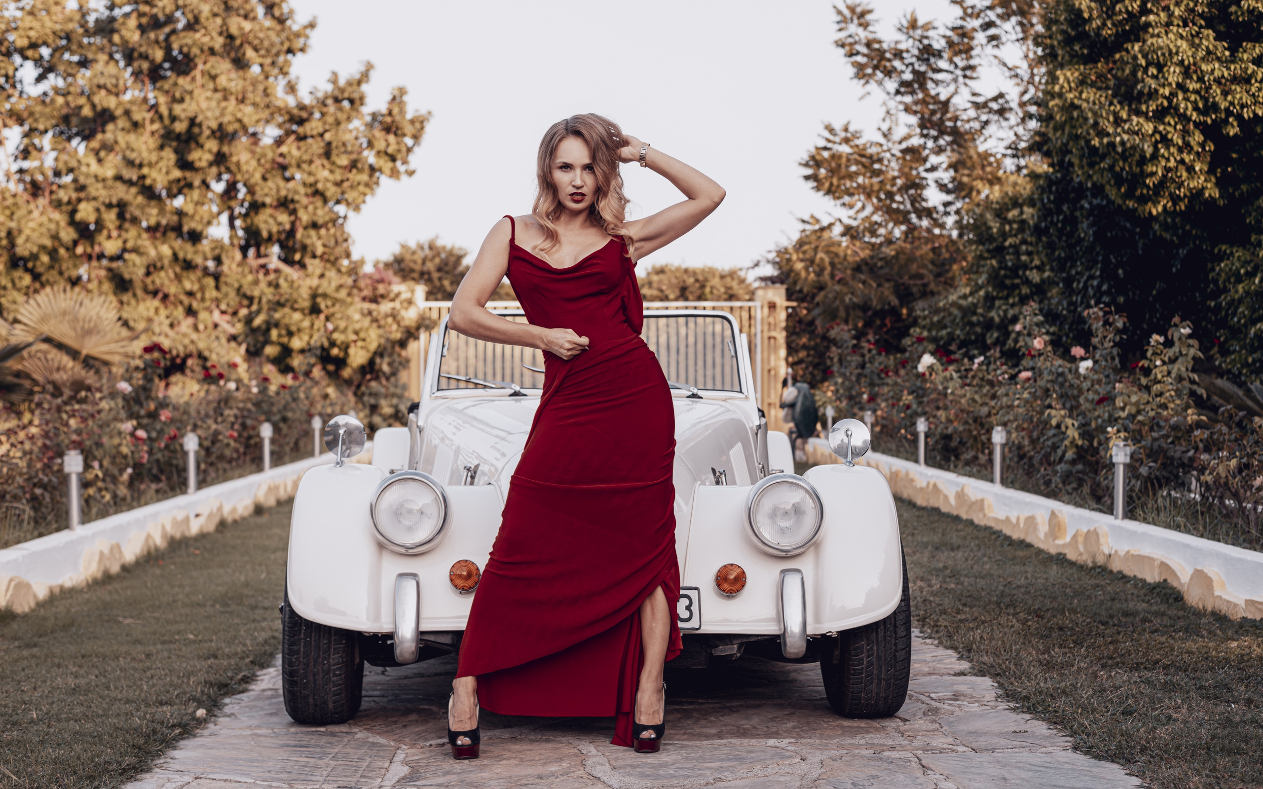 Comercial. Shanti Alex Art