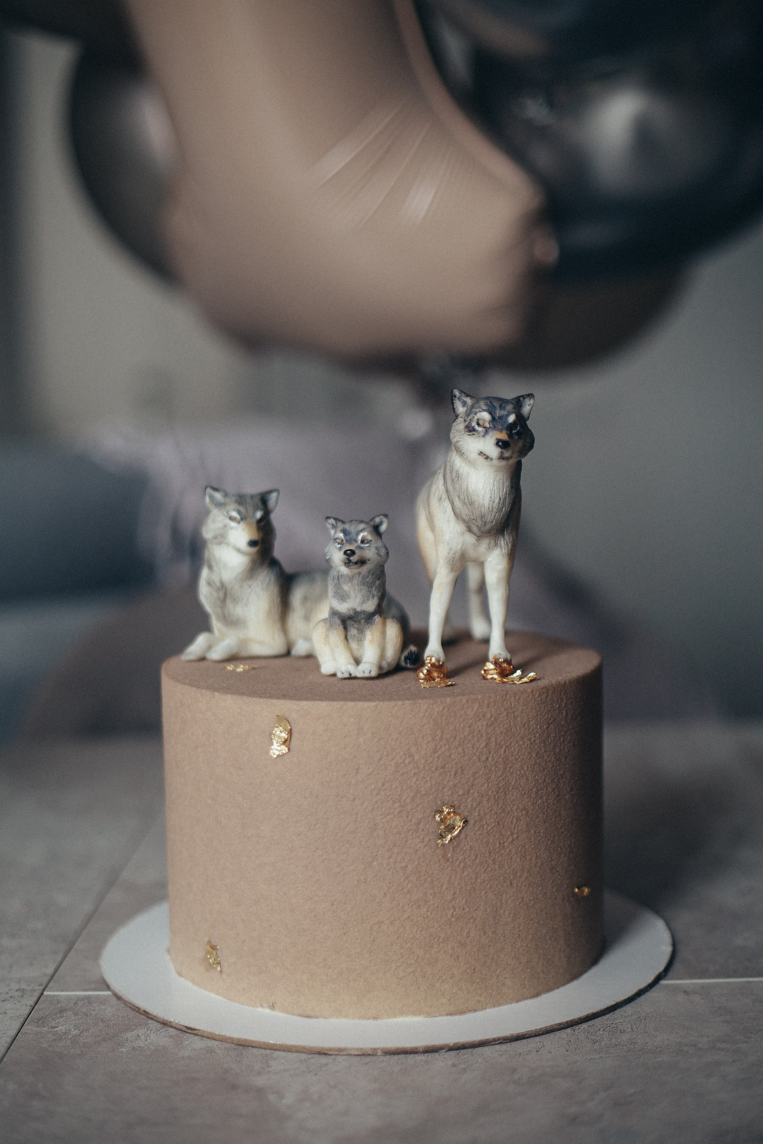 День Рождения, Адамчика!. Детский фотограф, Волгоград