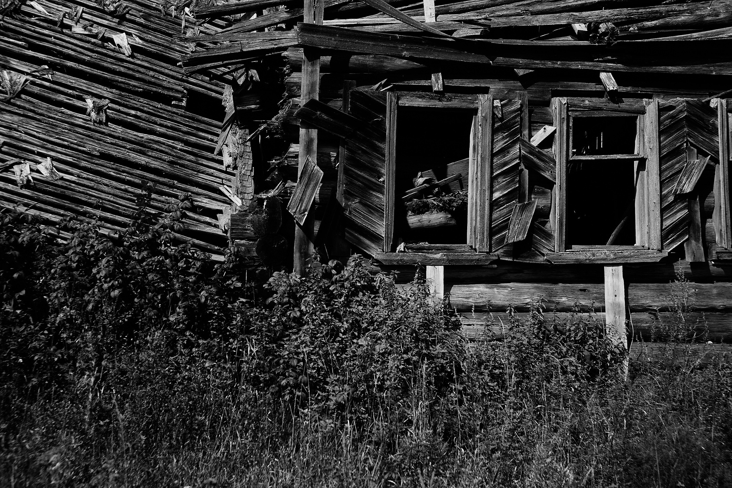 Тверская область 23. Фотограф и оператор мероприятий, концертов и портретов в городе Москва