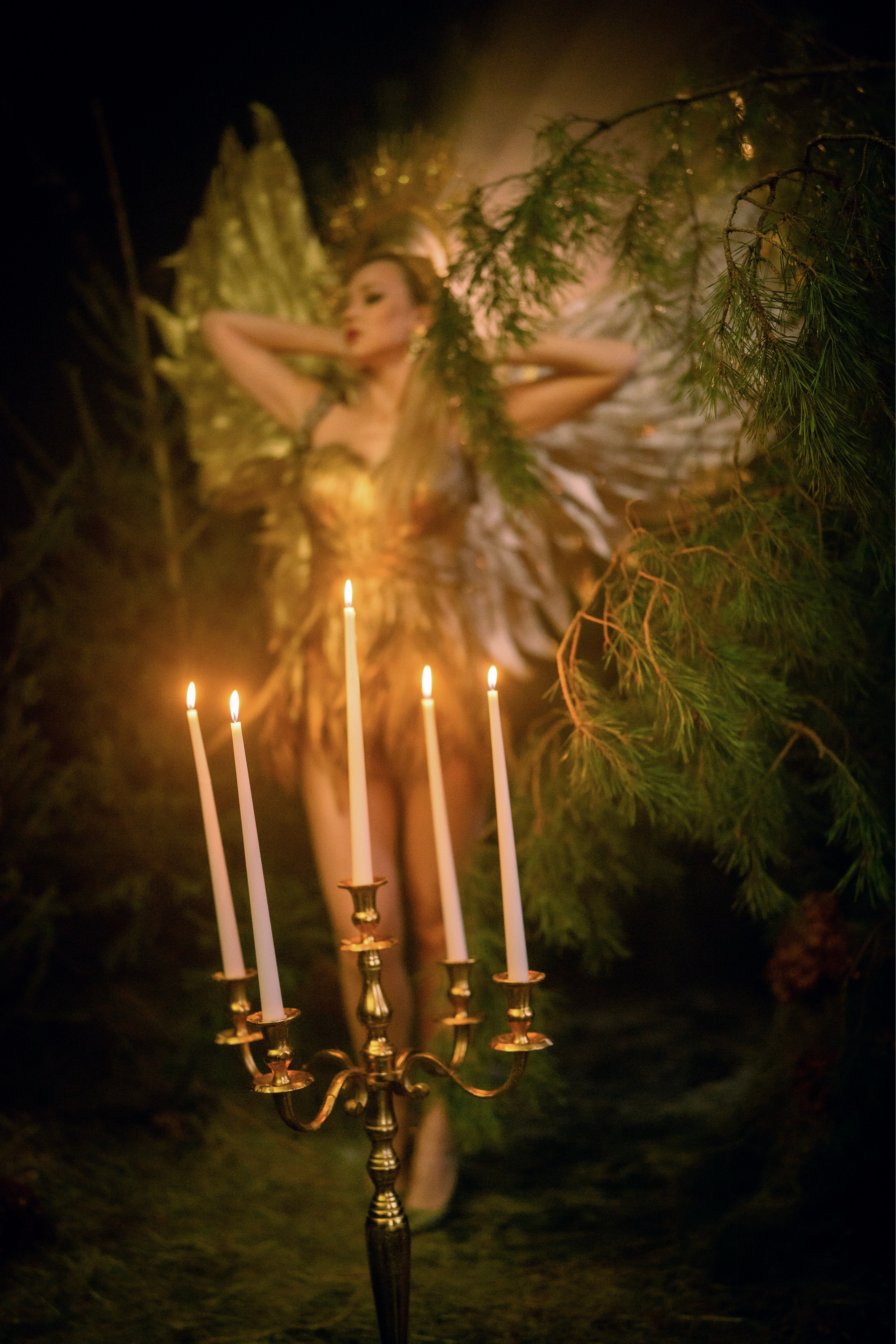 Птица-Сирин. Ваш фотограф Tetiana Kolos, найду самый удачный ракурс и словлю момент