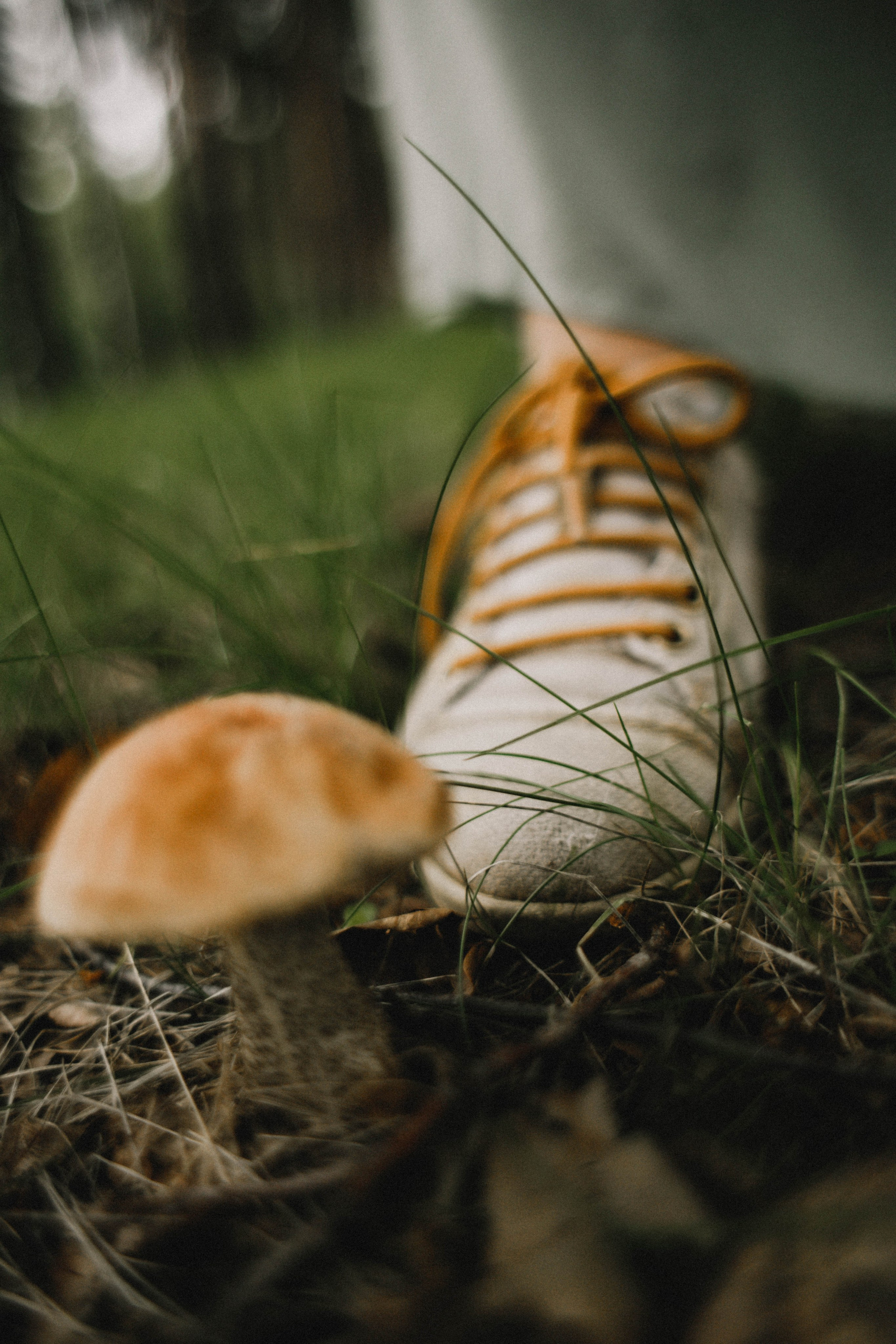 Пикник. Парк Швейцария. Фотограф в Нижнем Новгороде