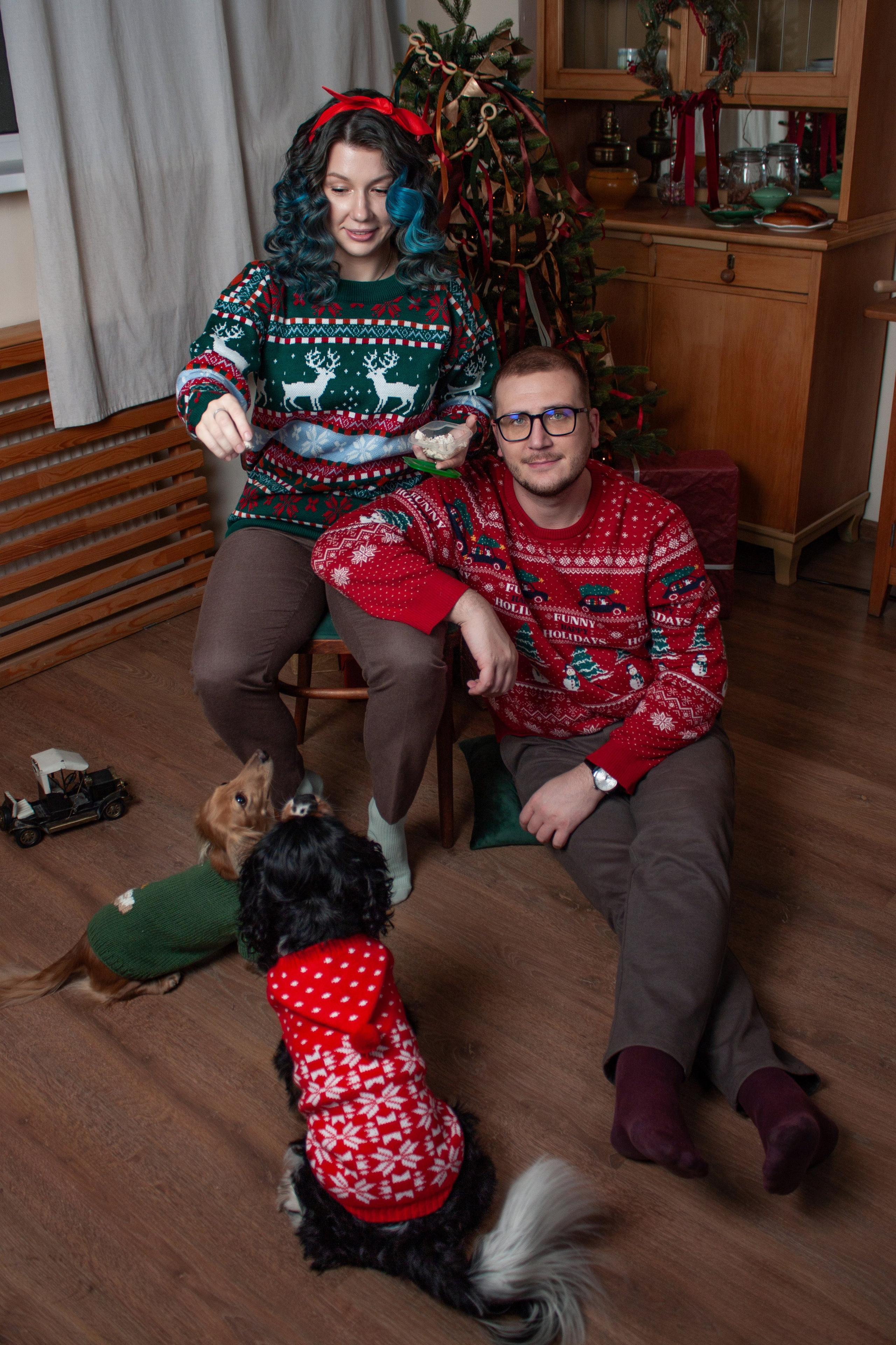 Новогодние собаки. Фотограф в Санкт-Петербурге Рейдер Дарья