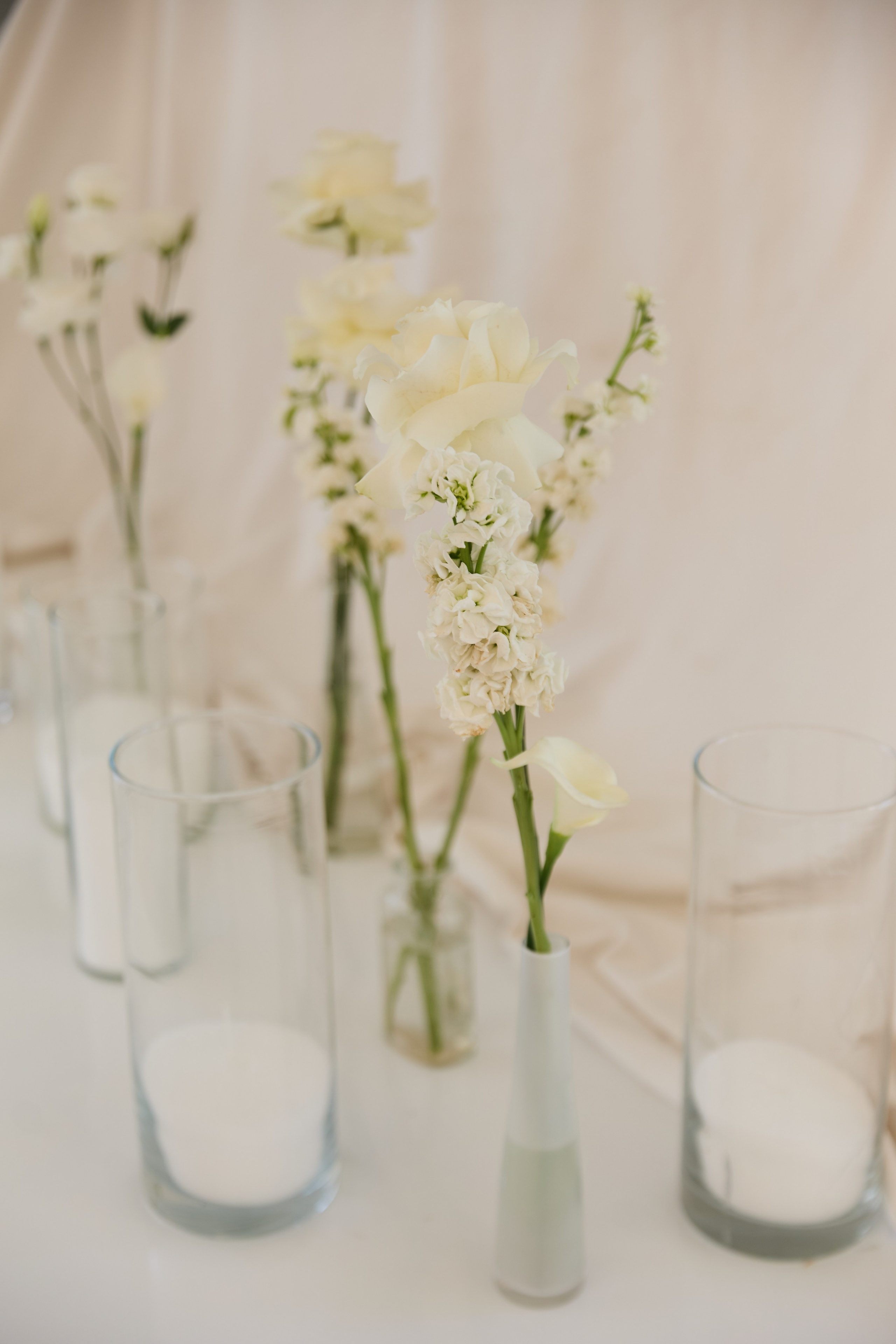 Игорь и Анастасия. Juliashtondic. photo