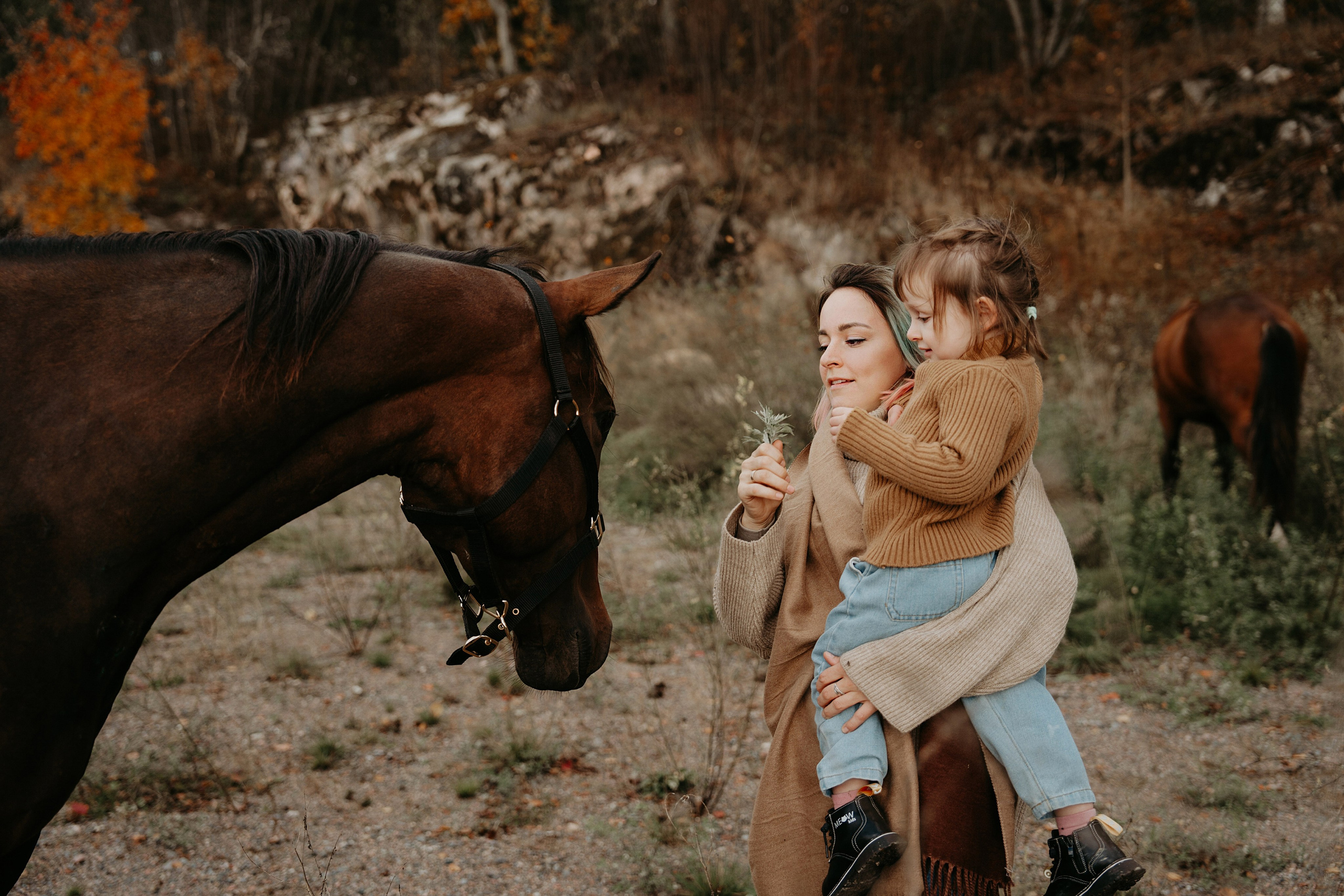 Конные. Главная