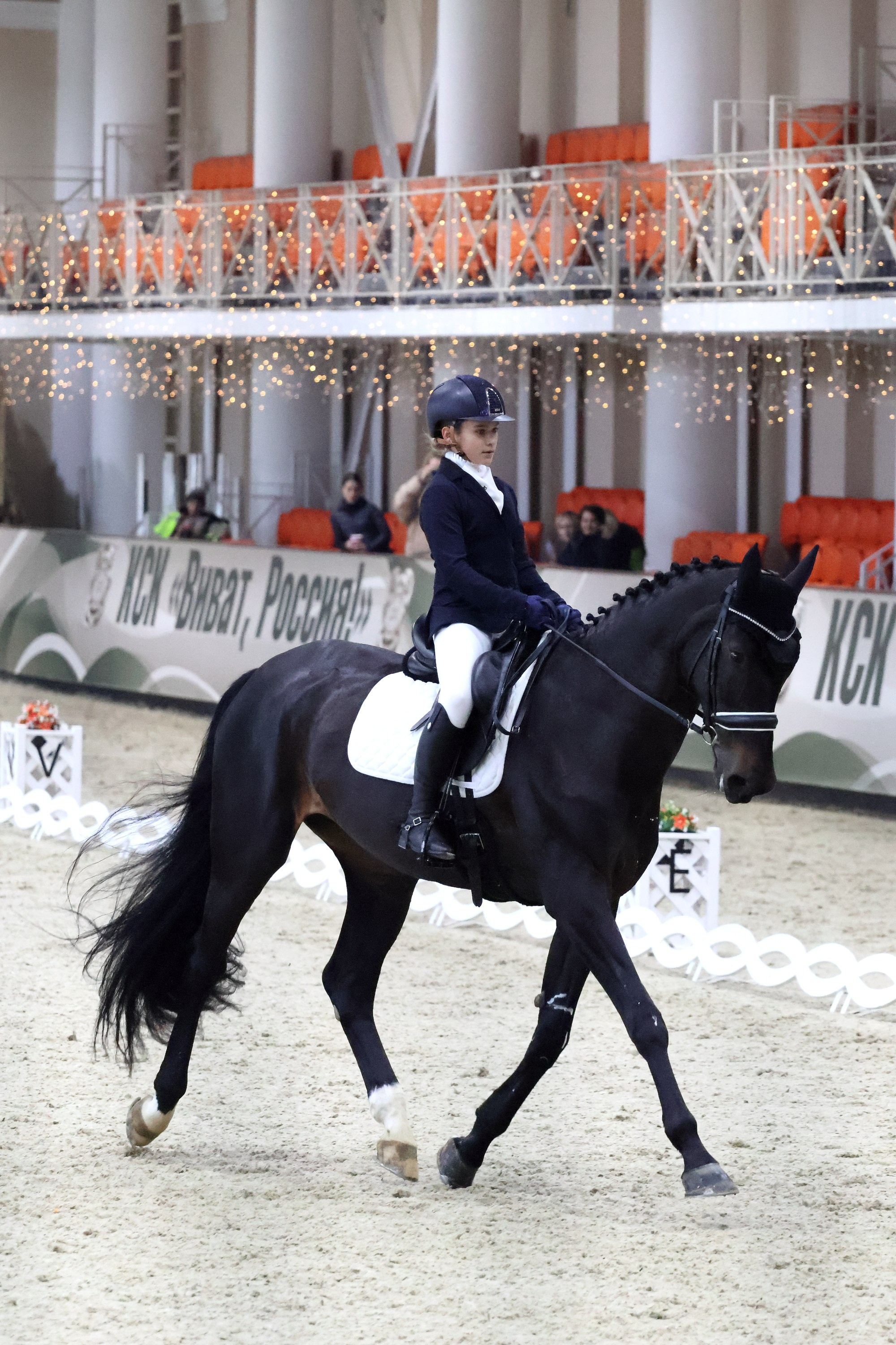 Соревнования по выездке КСК «Виват, Россия!». Спортивный и репортажный фотограф Ермакова Светлана