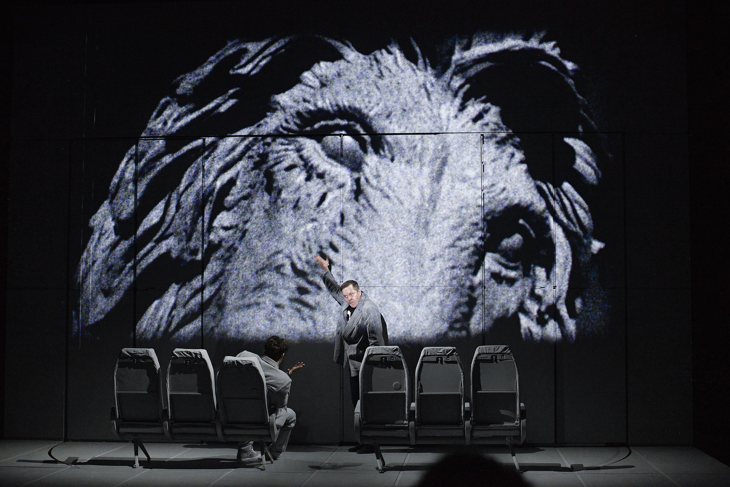 «СВЕРЧОК». Фотограф Александра Дмитриевская