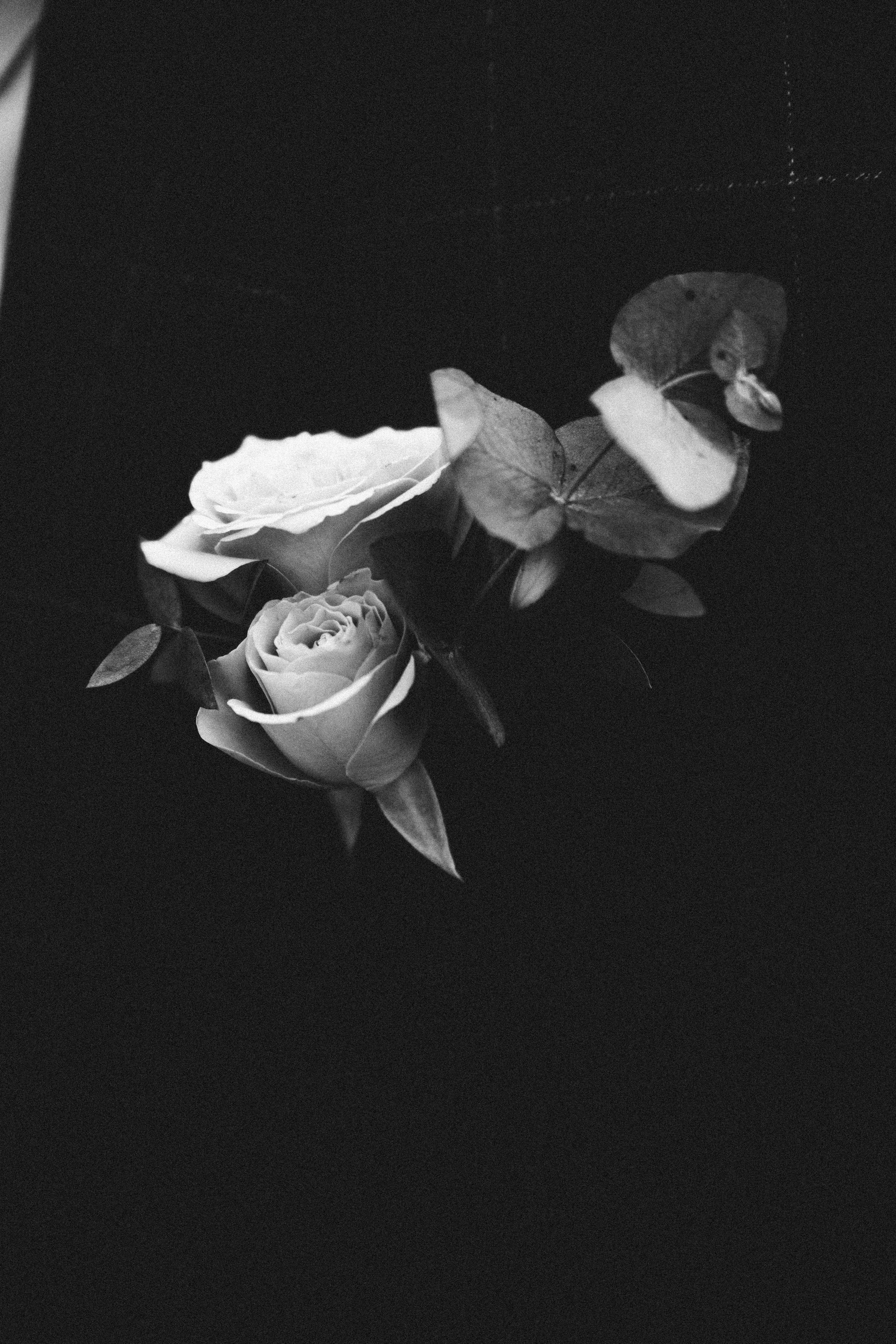 Постановочная и Lifestyle. Индивидуальный фотограф в городе Чита