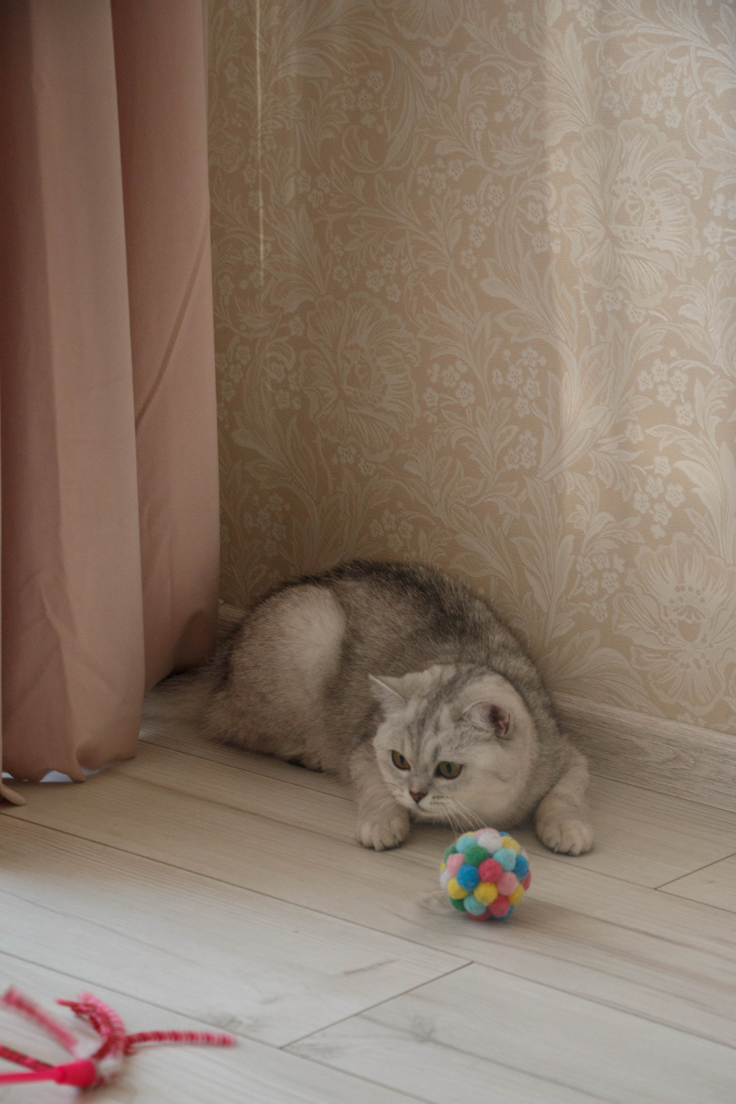 NASTYA & KITTI. Бережно сохраняю ваши чувства и истории на своих фотографиях