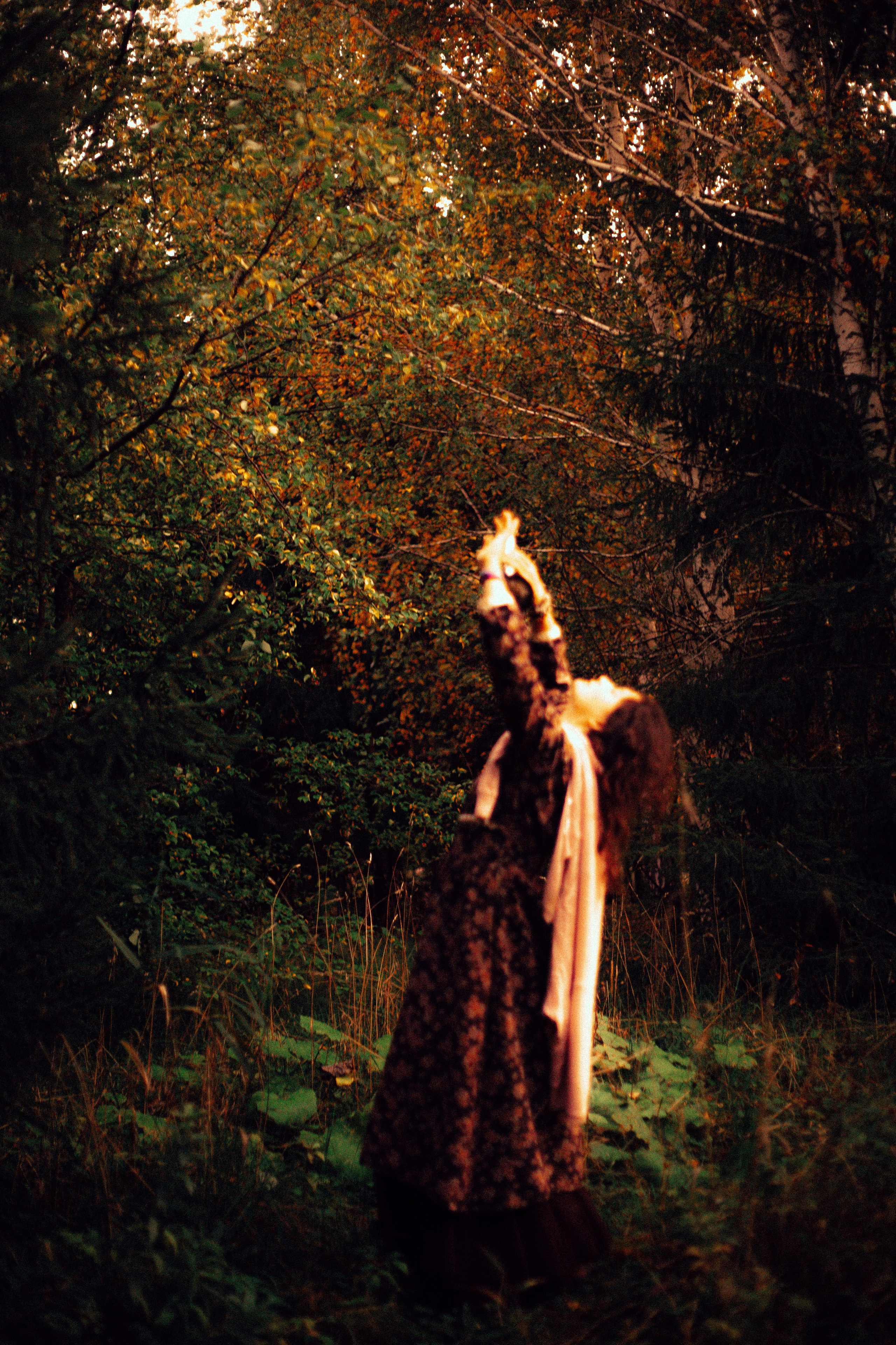 Лес. Колдунья. И волшебные грибы. Арт-фотограф Крис Л. в Тобольске: портрет, семейные, свадьбы