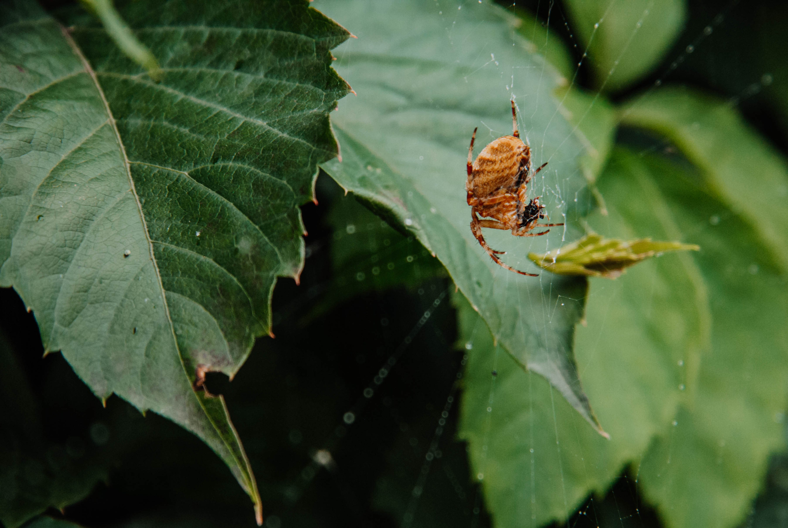 Путешествия. Портретный фотограф в Москве Эмиль Халиков