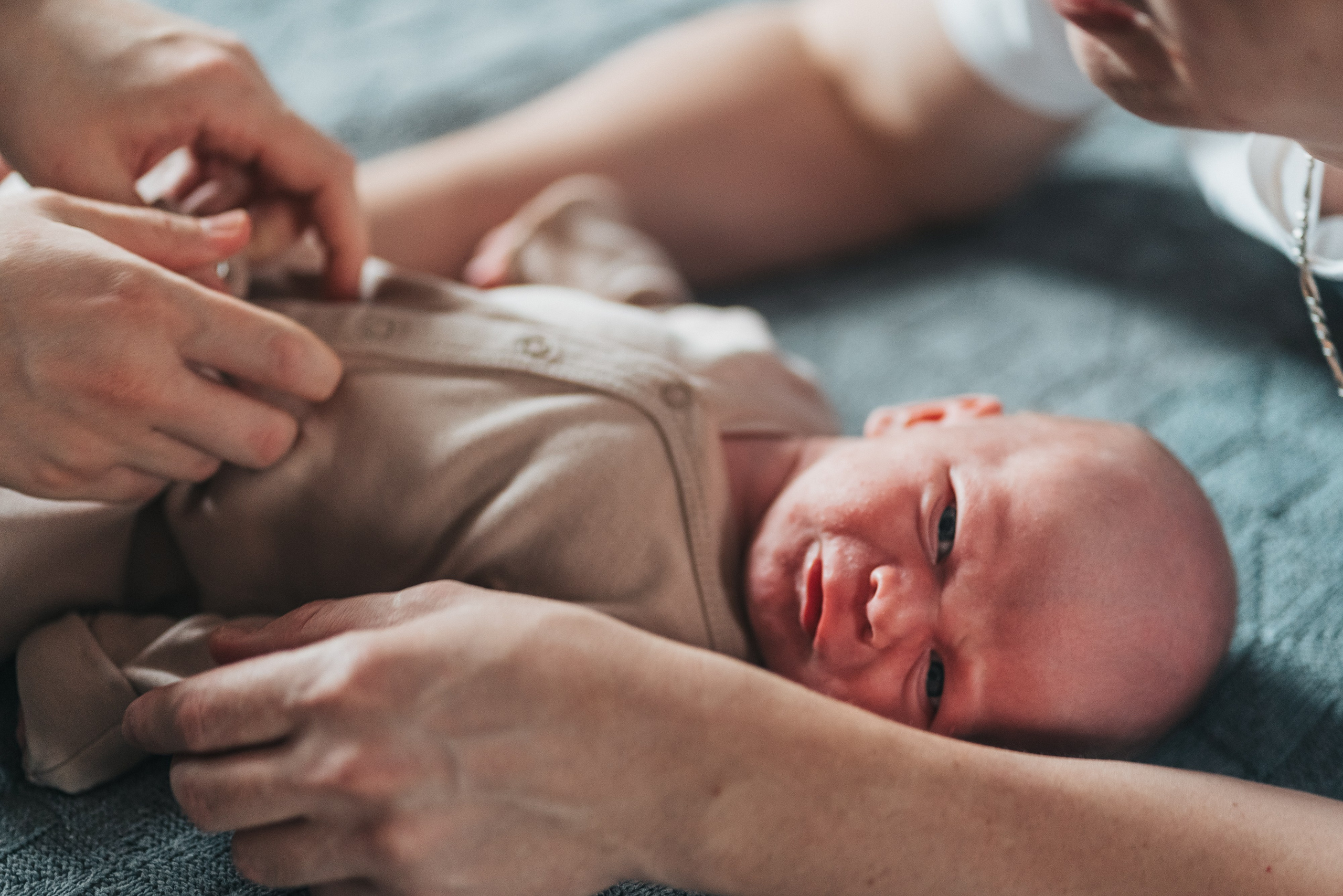 Новорожденные. Школьные альбомы и альбомы для детского сада. Юлия Осипова. Москва
