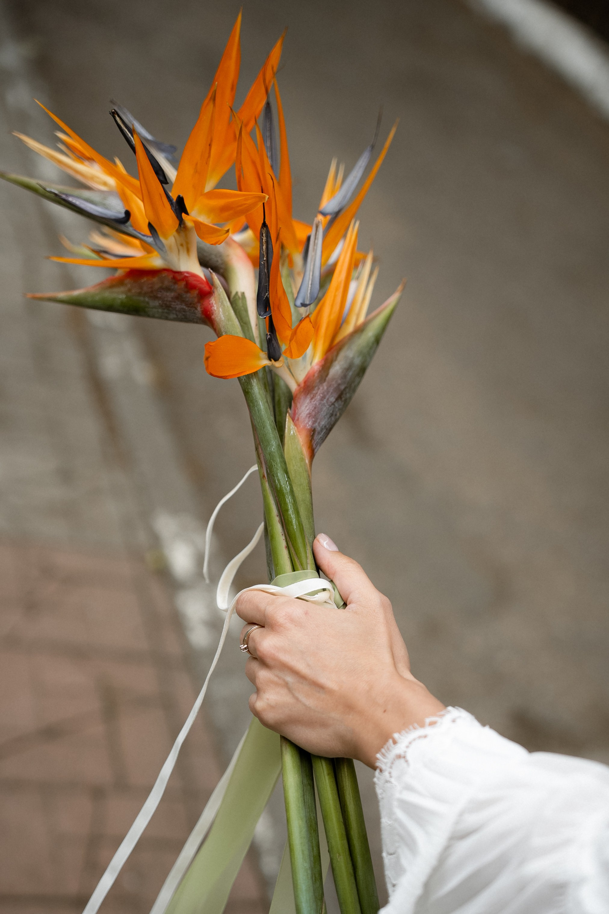 Майский Дождь. Полный день (сокращено). Семейный и портретный фотограф в Саратове Сахарова Маша