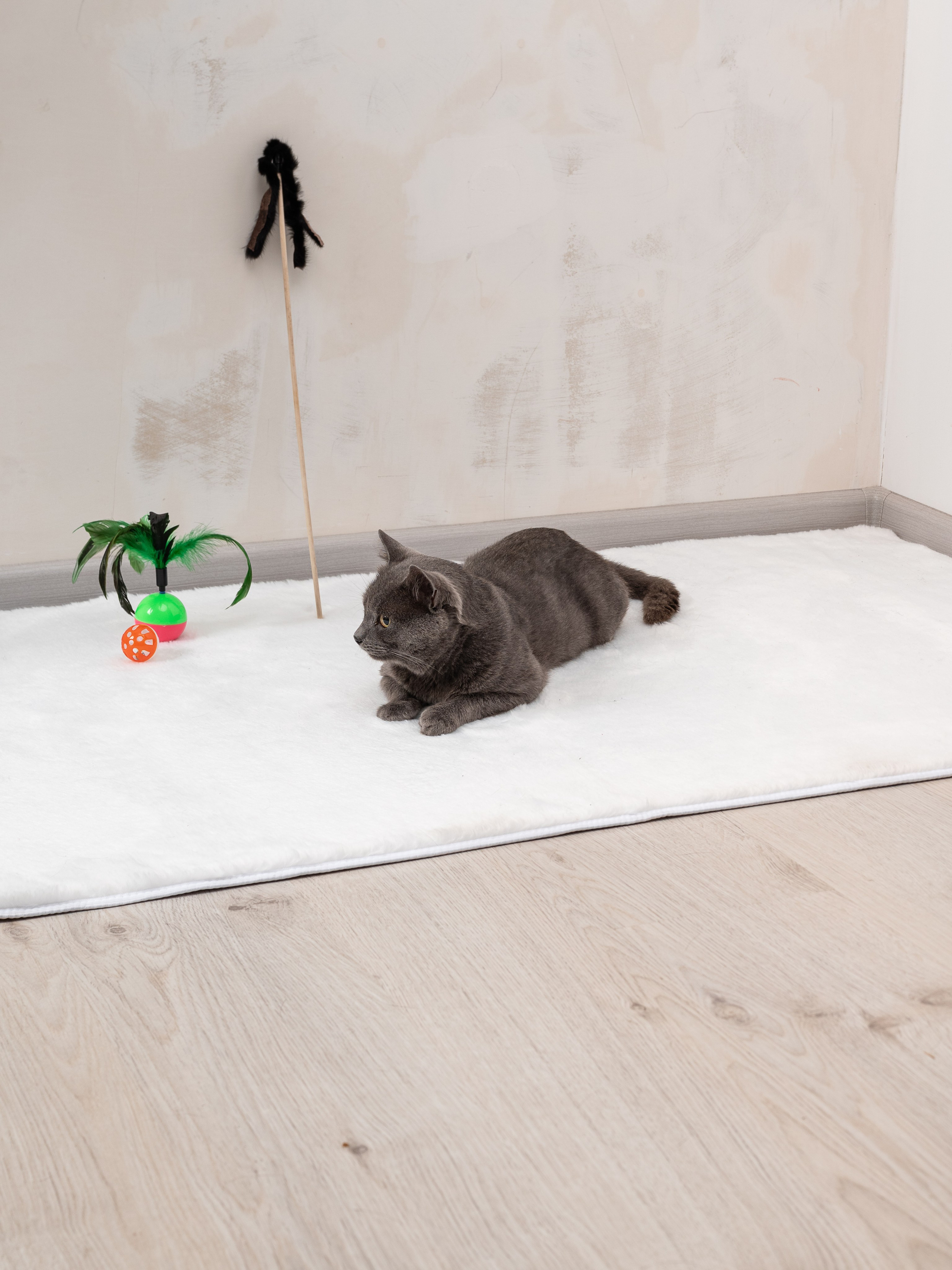 Коврики для дома. Предметный фотограф, фото для маркетплейсов Пятигорск, КМВ