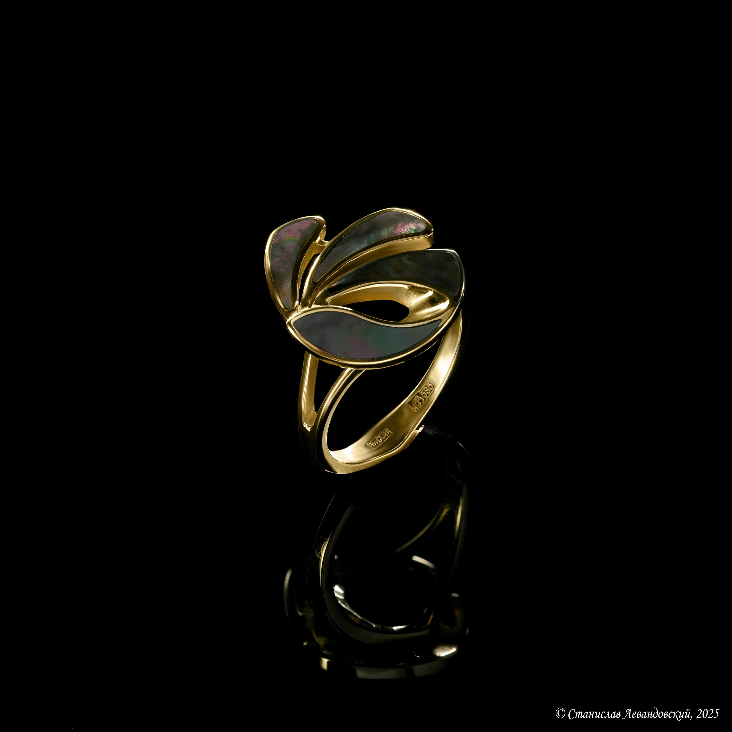 Предметы с глянцевой поверхностью. Предметный фотограф в Москве Станислав Левандовский