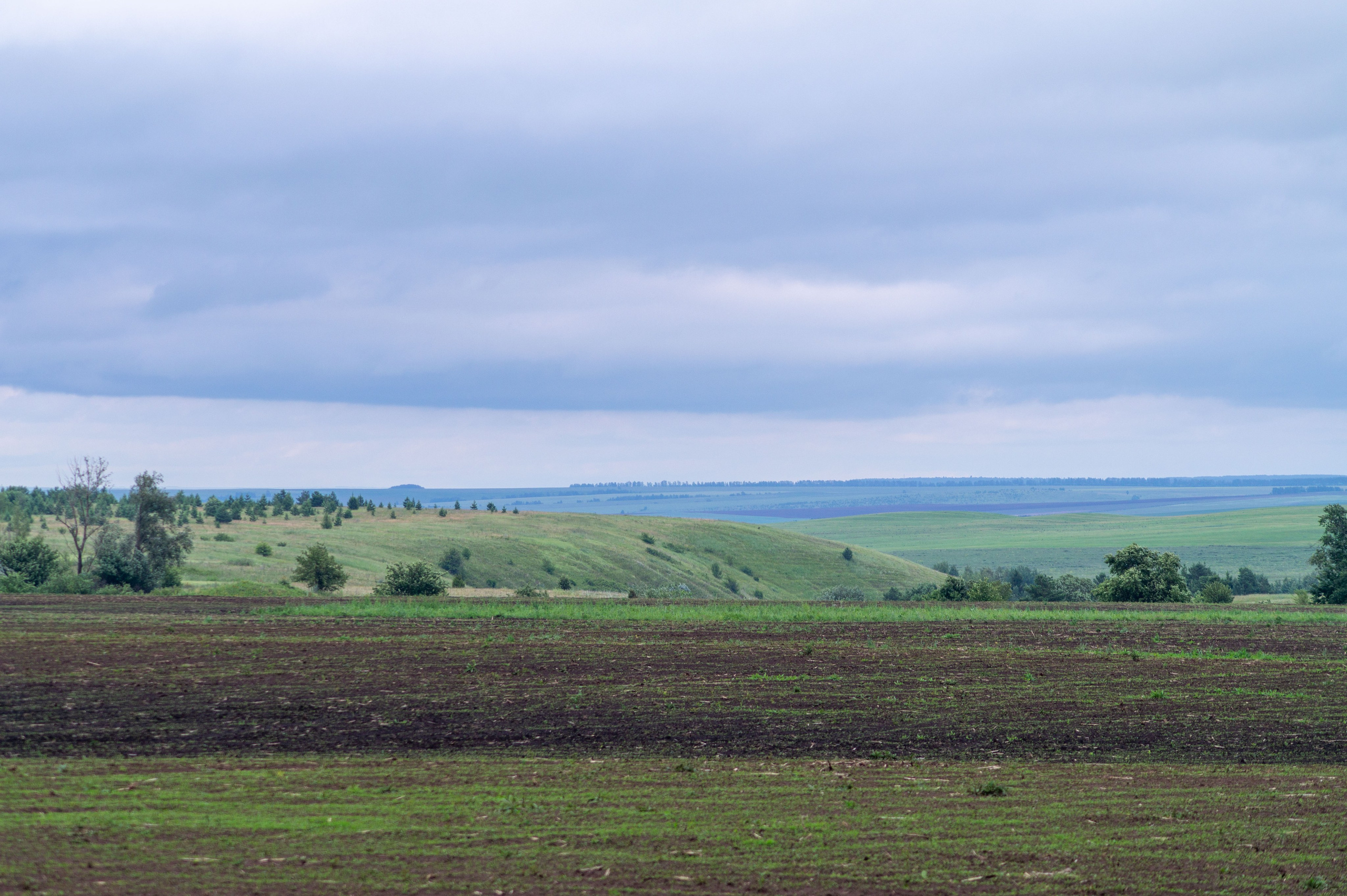 Г. Вятские Поляны лето 2025. Портретный и семейный фотограф Санкт-Петербург