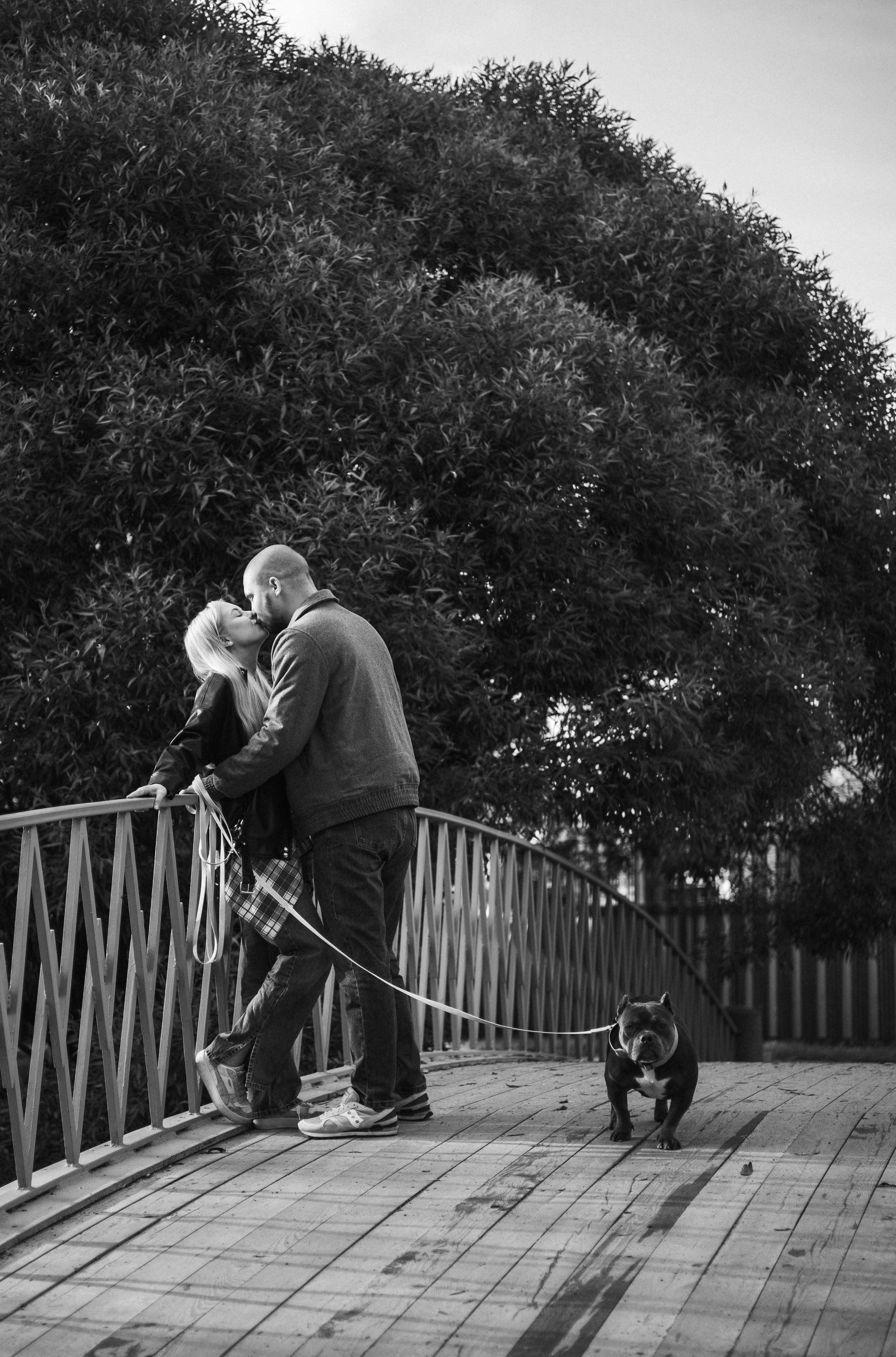 Саша, Руслан и Луна. Фотограф животных Евгения Верцинская