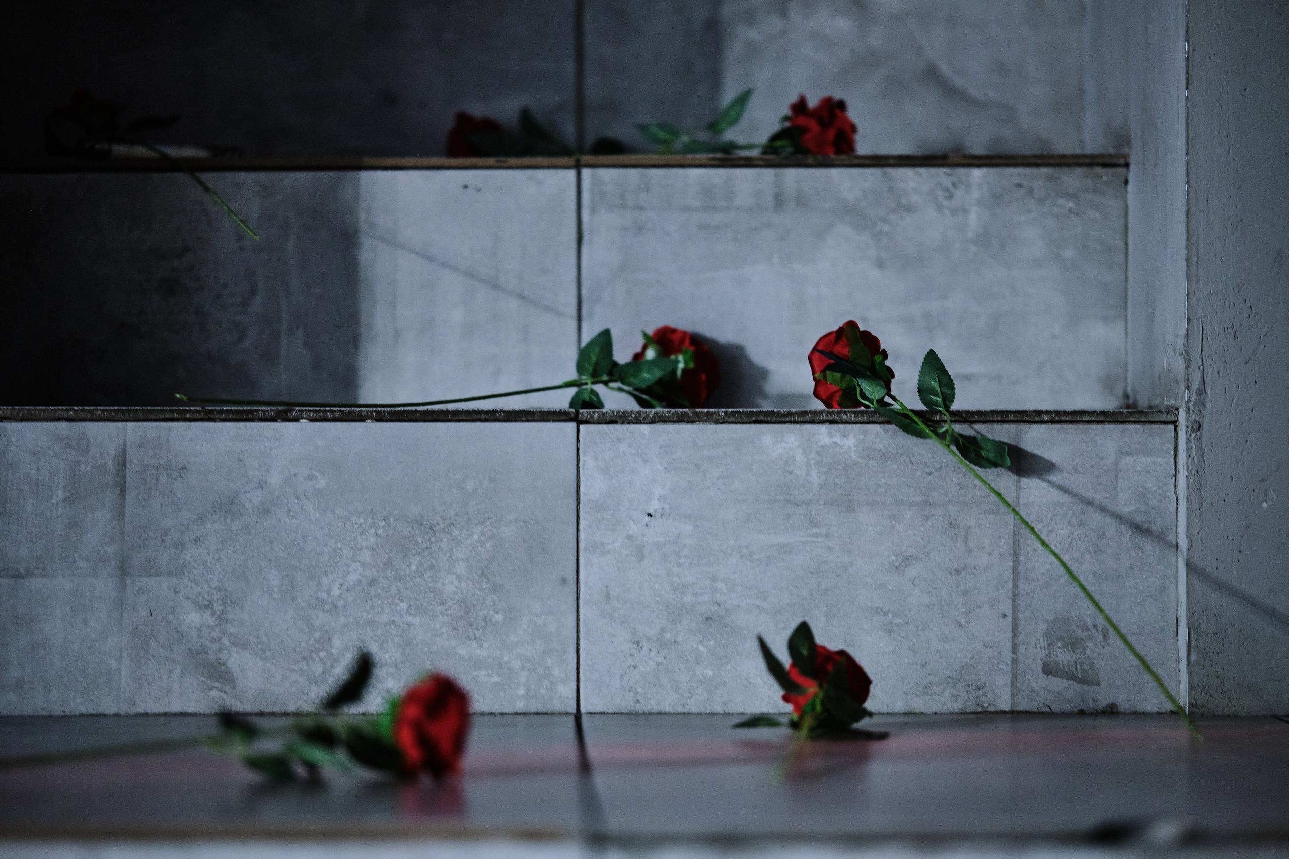 Полина. Портретный и репортажный фотограф в Москве Алёна Никогосян