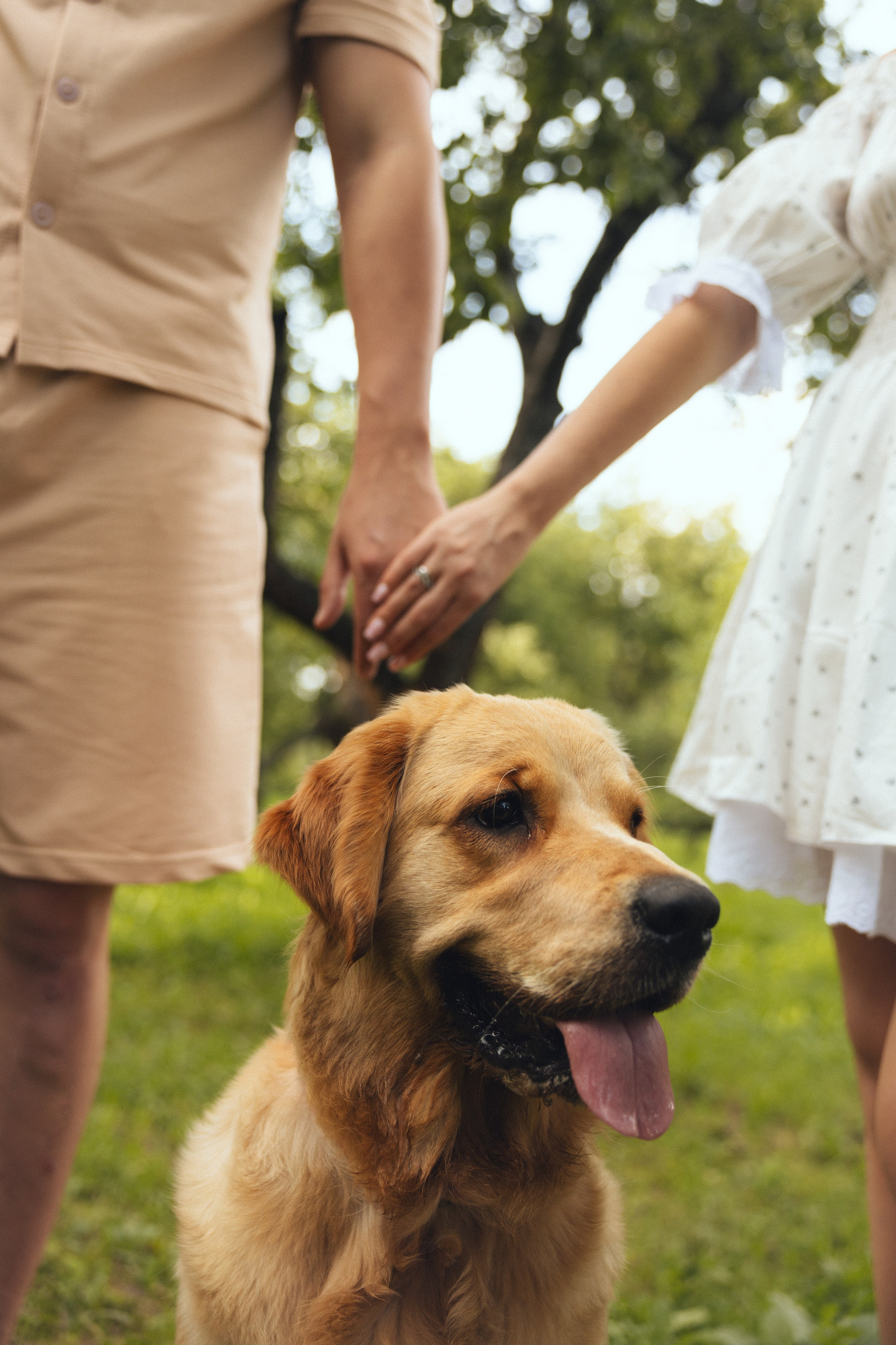 Елизавета и Даниил. Фотограф Дарья Смирнова